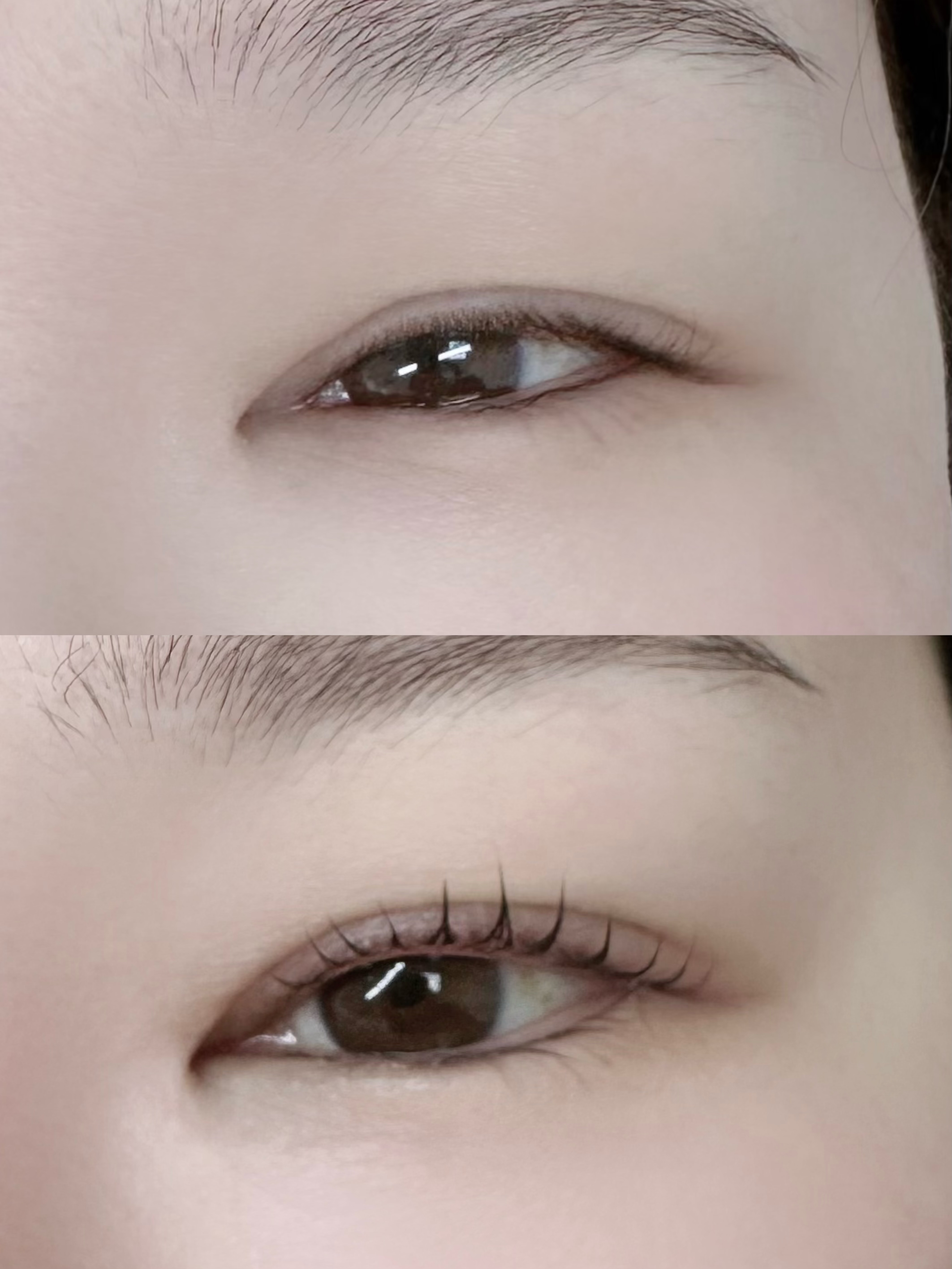 바이 로로 대표 이미지