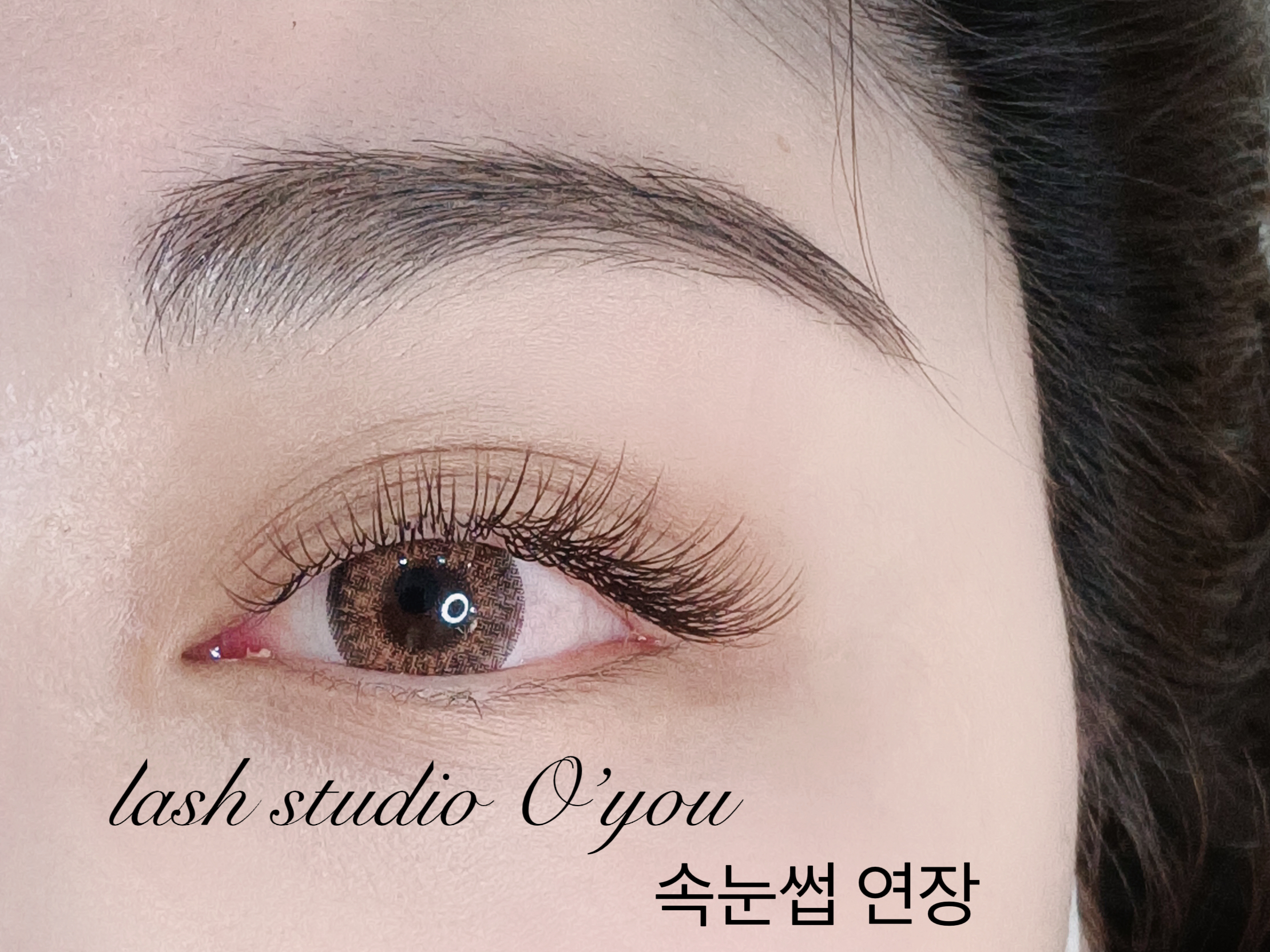 래쉬스튜디오 오유