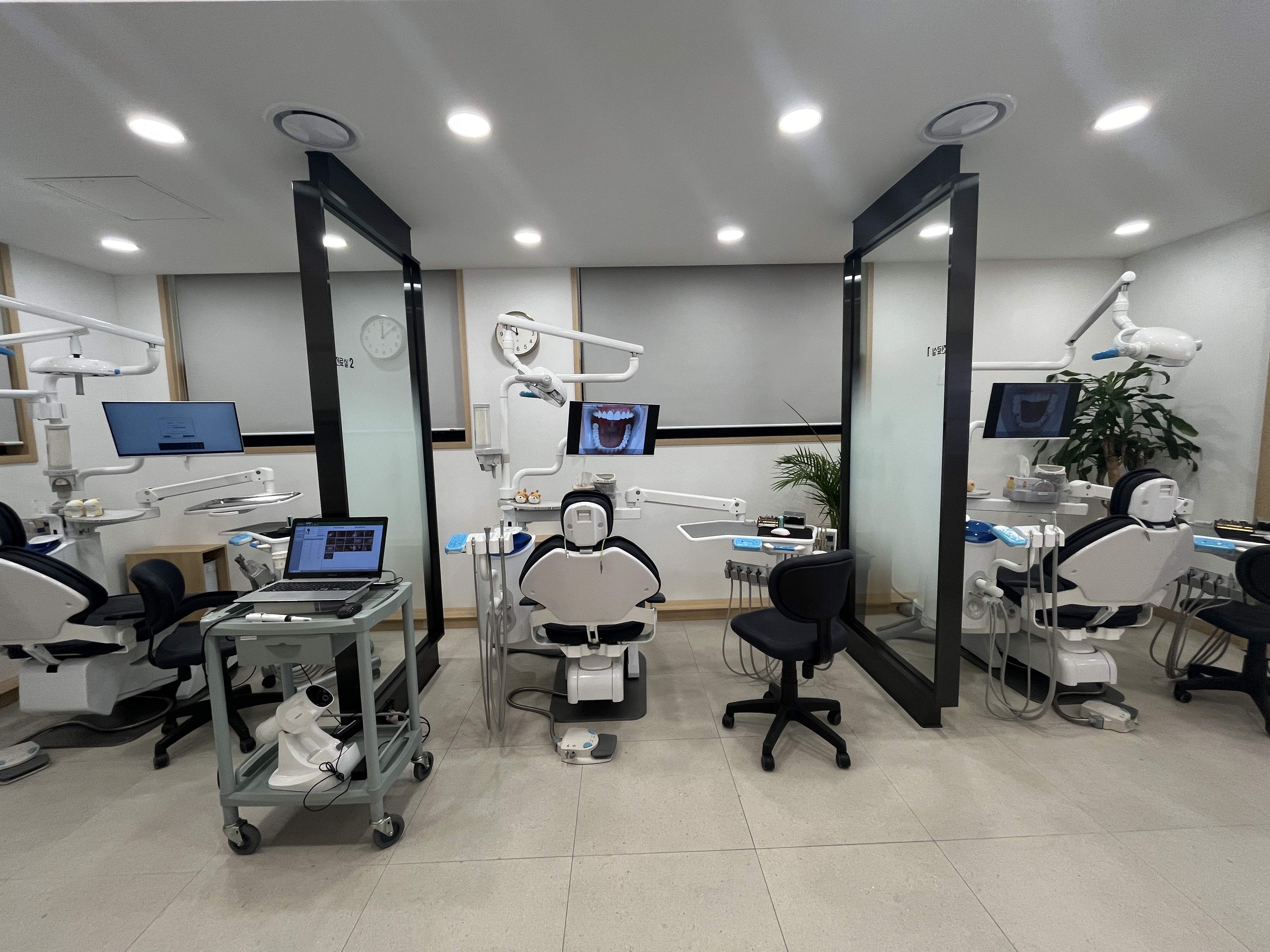 예일치과의원 대표 이미지