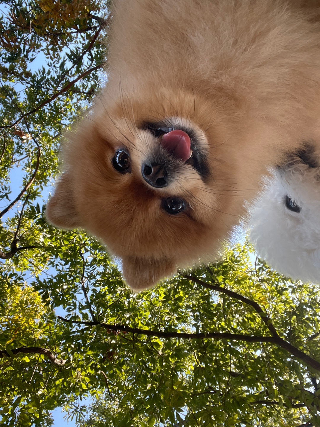 뷰티보스네일 대표 이미지