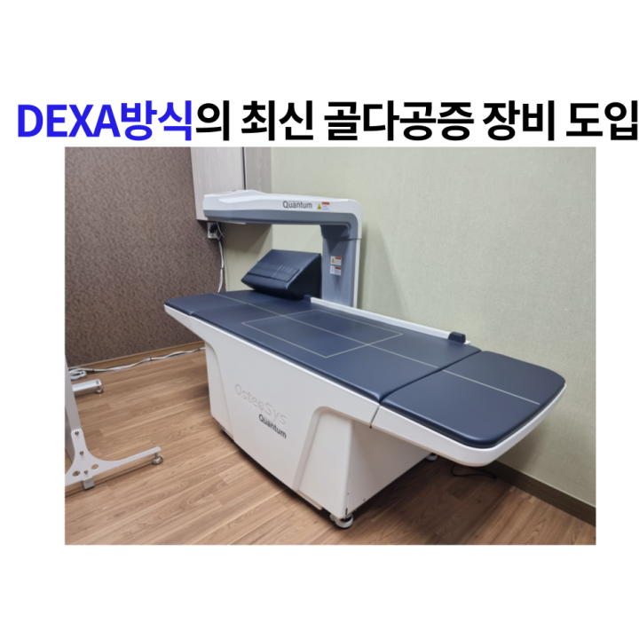 박진호속시원내과의원