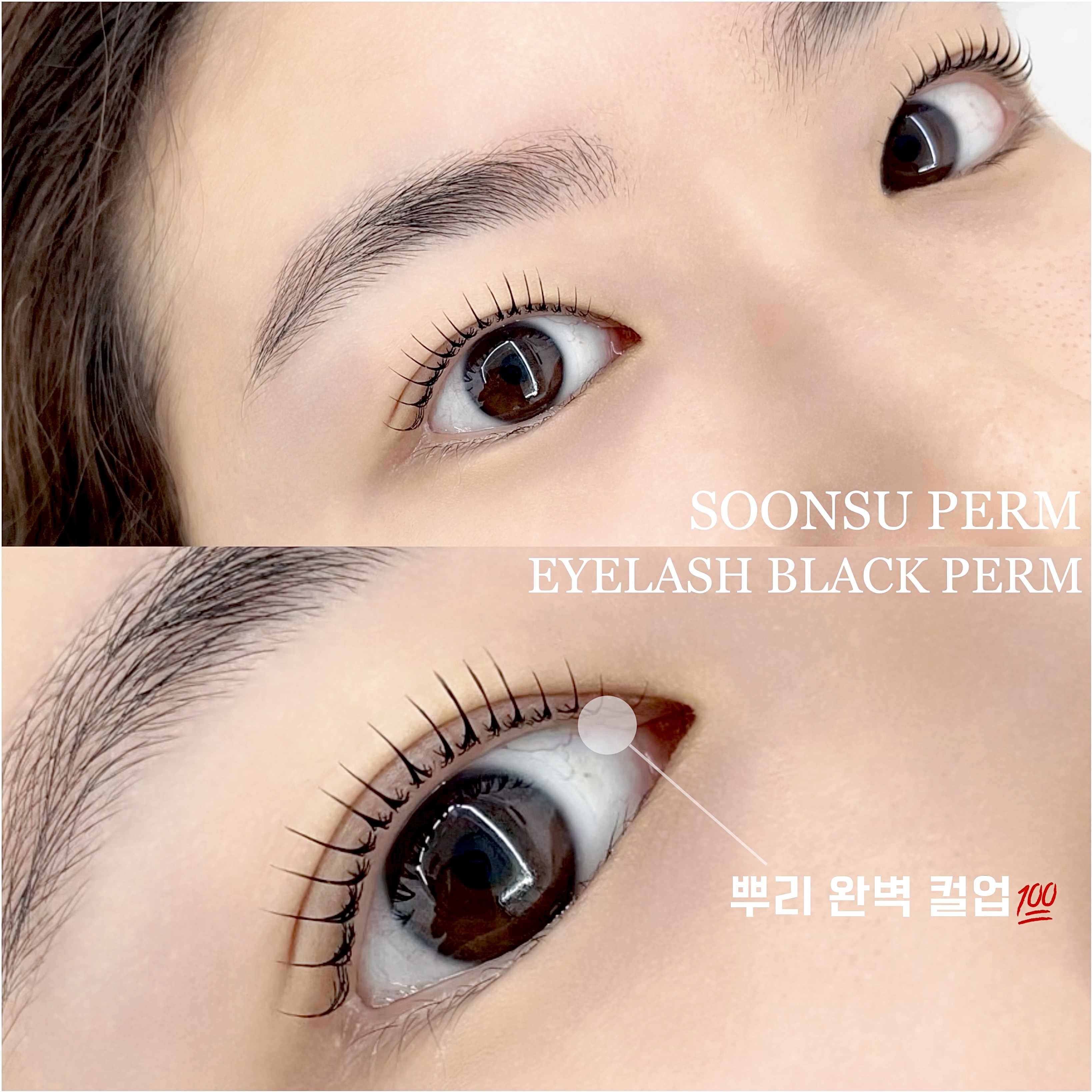 순수뷰티스튜디오 속눈썹 대표 이미지