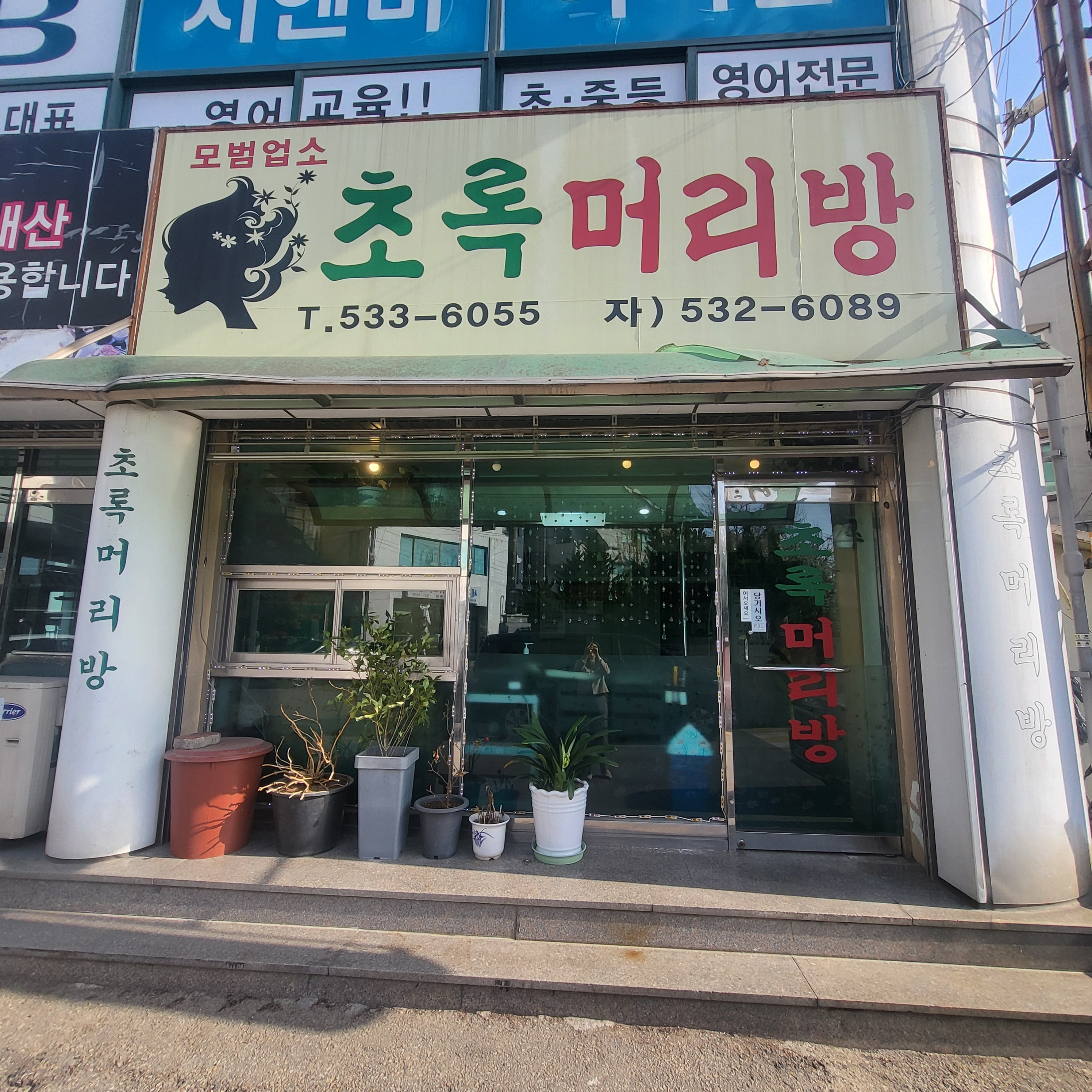 초록머리방