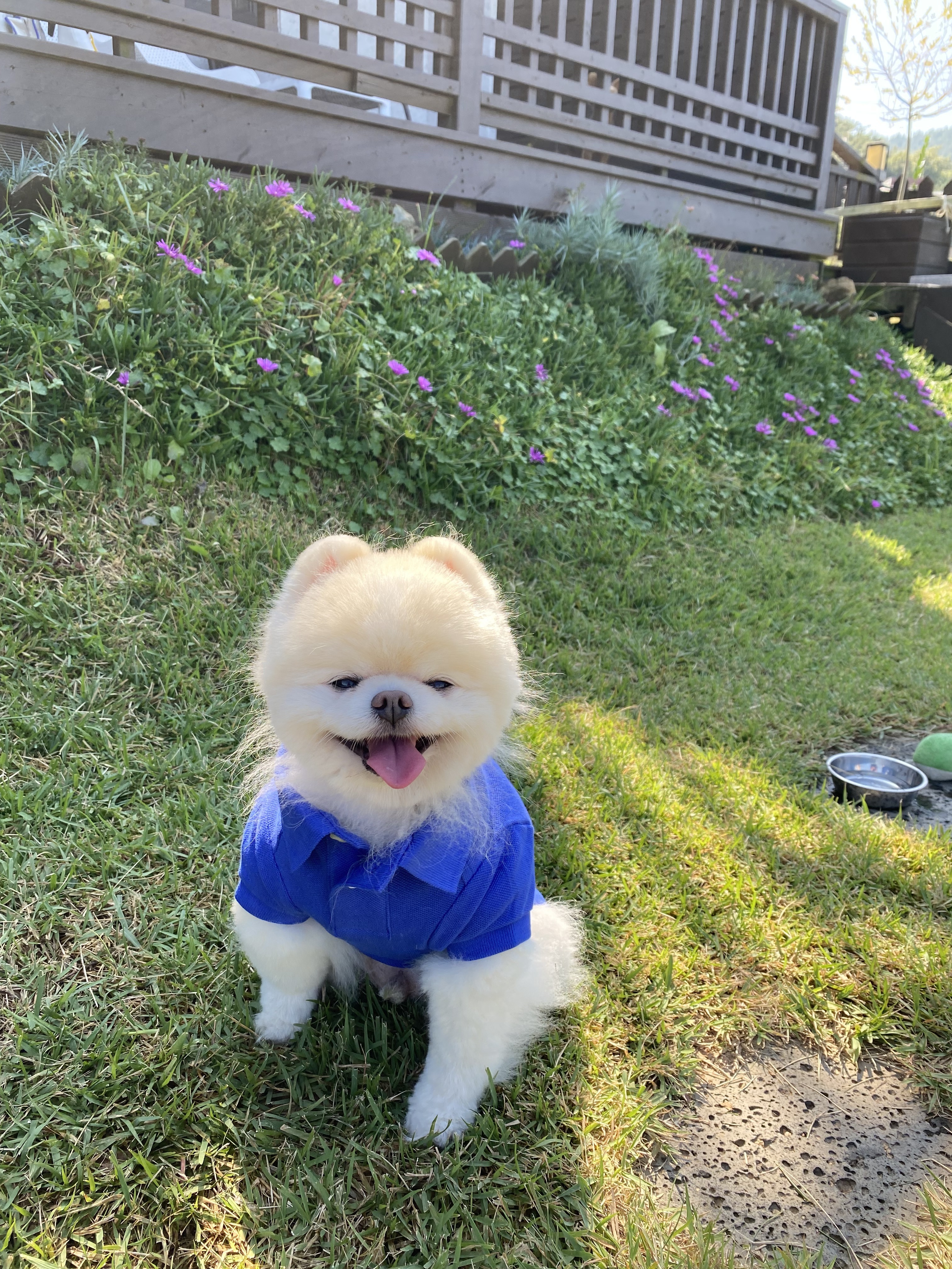 거제봄날펜션