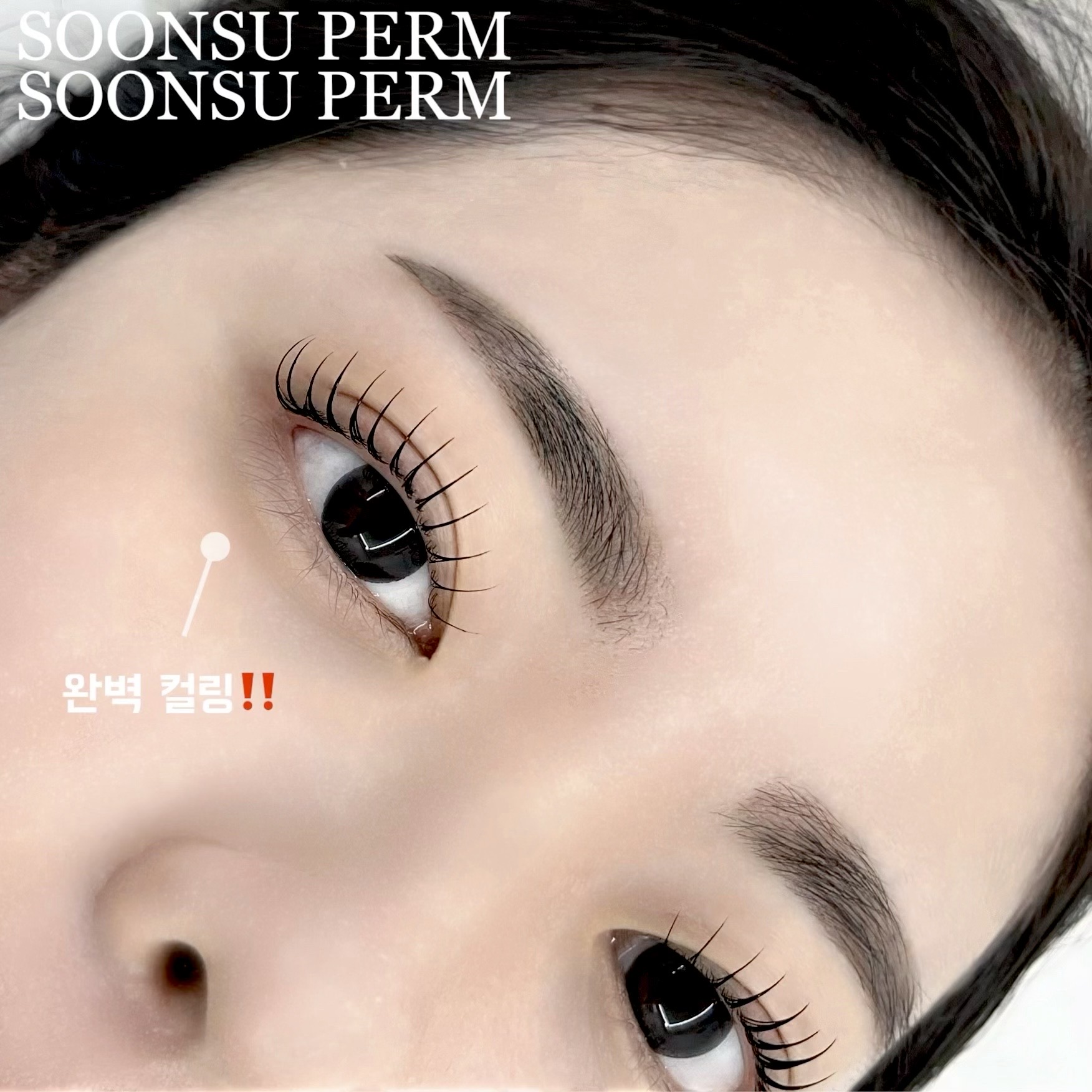 순수뷰티스튜디오 속눈썹 대표 이미지