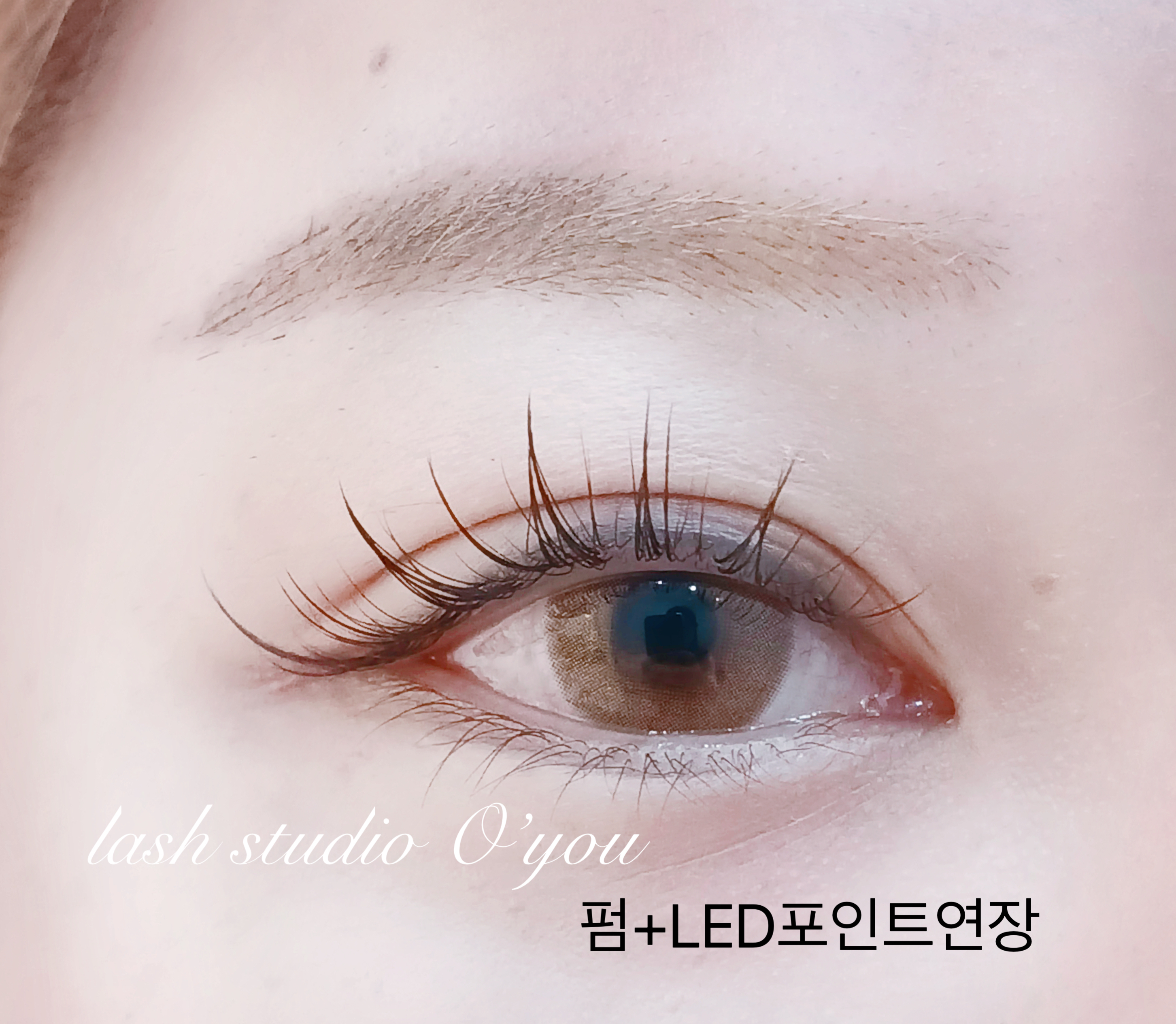 래쉬스튜디오 오유