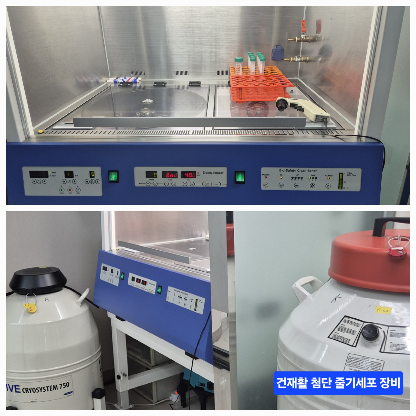 건재활의학과의원