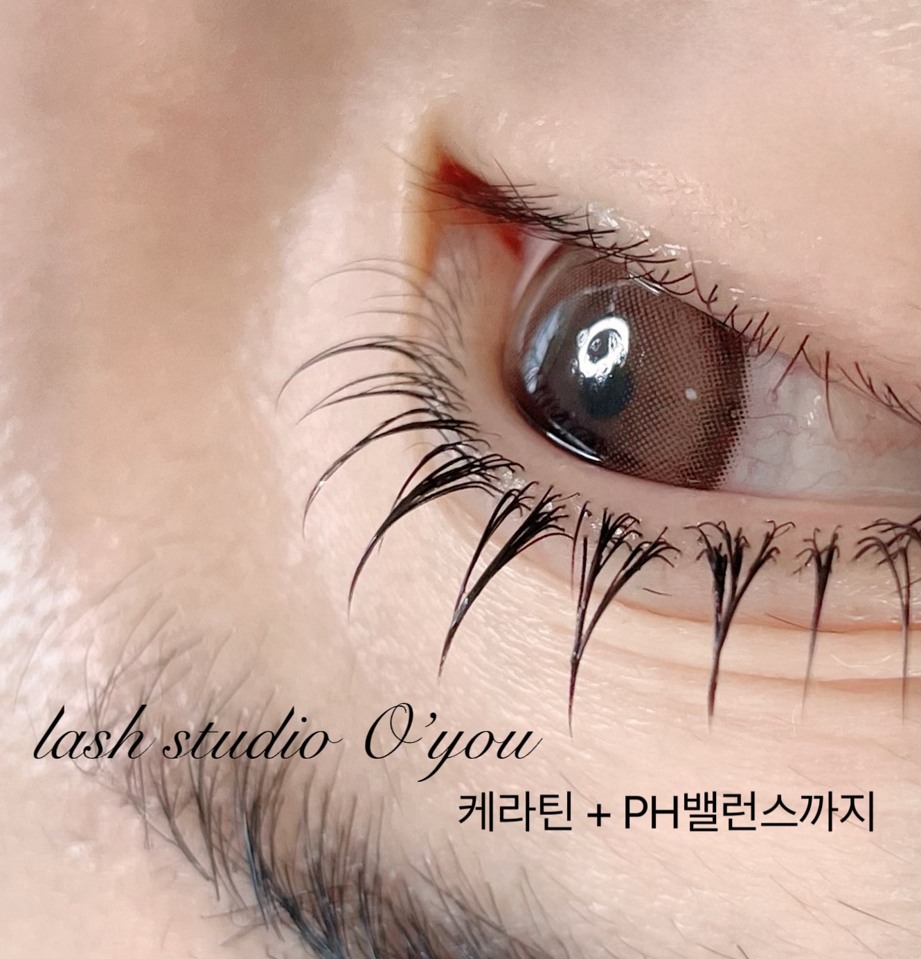 래쉬스튜디오 오유
