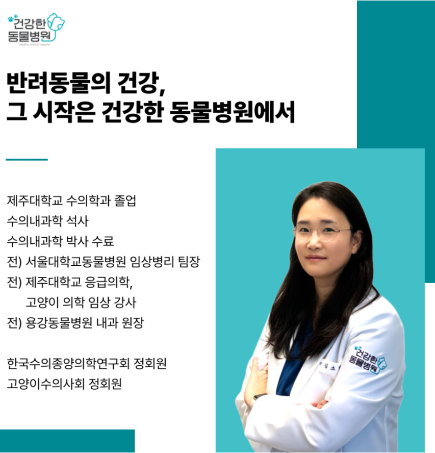 건강한동물병원 대표 이미지