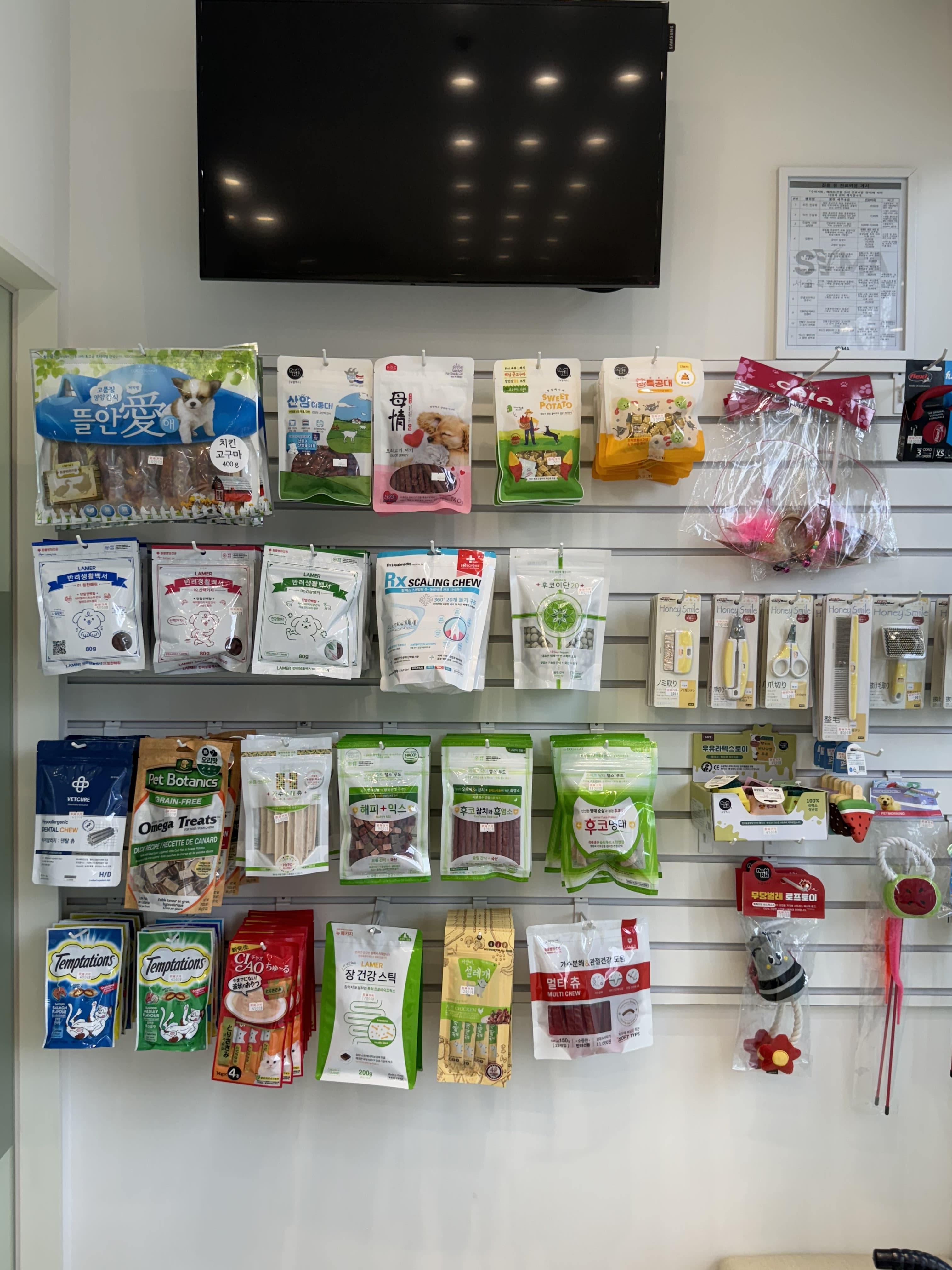 건강한동물병원 대표 이미지