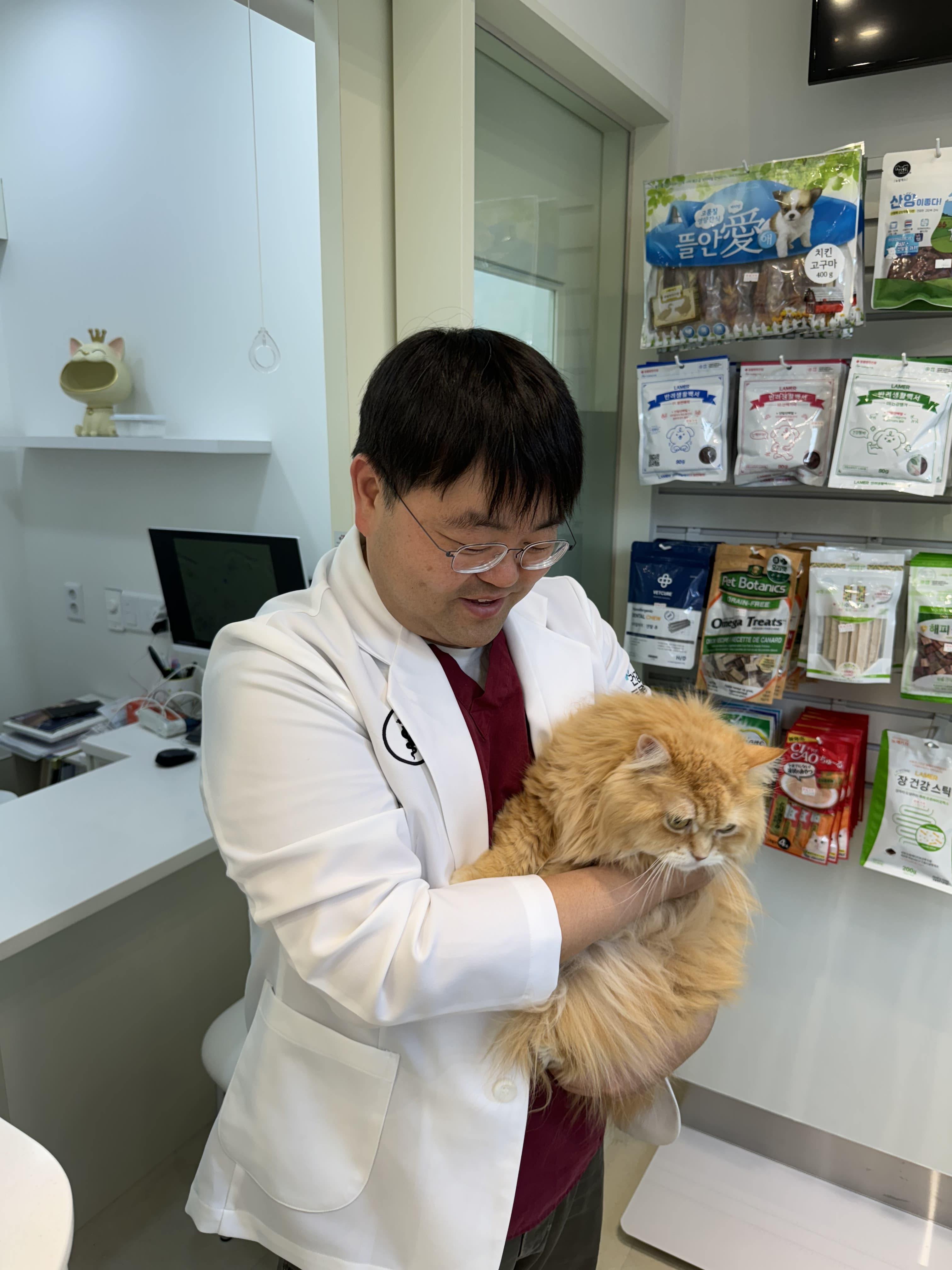 건강한동물병원 대표 이미지