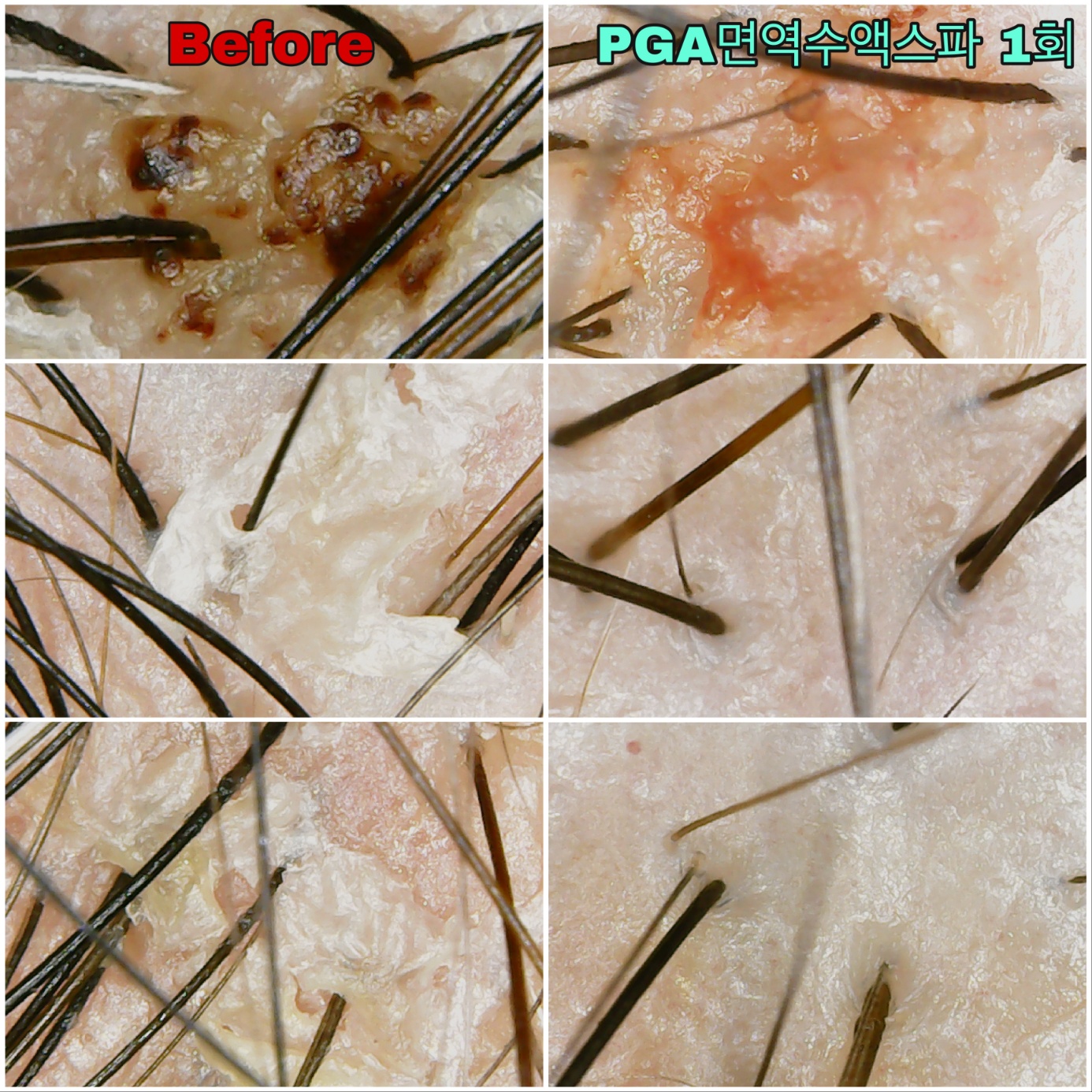 에이바헤어 진주칠암점