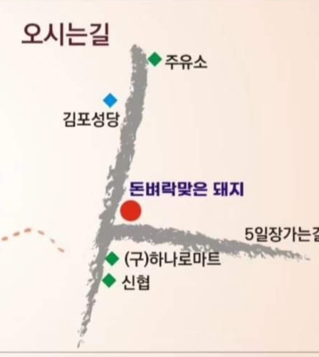 돈벼락맞은돼지