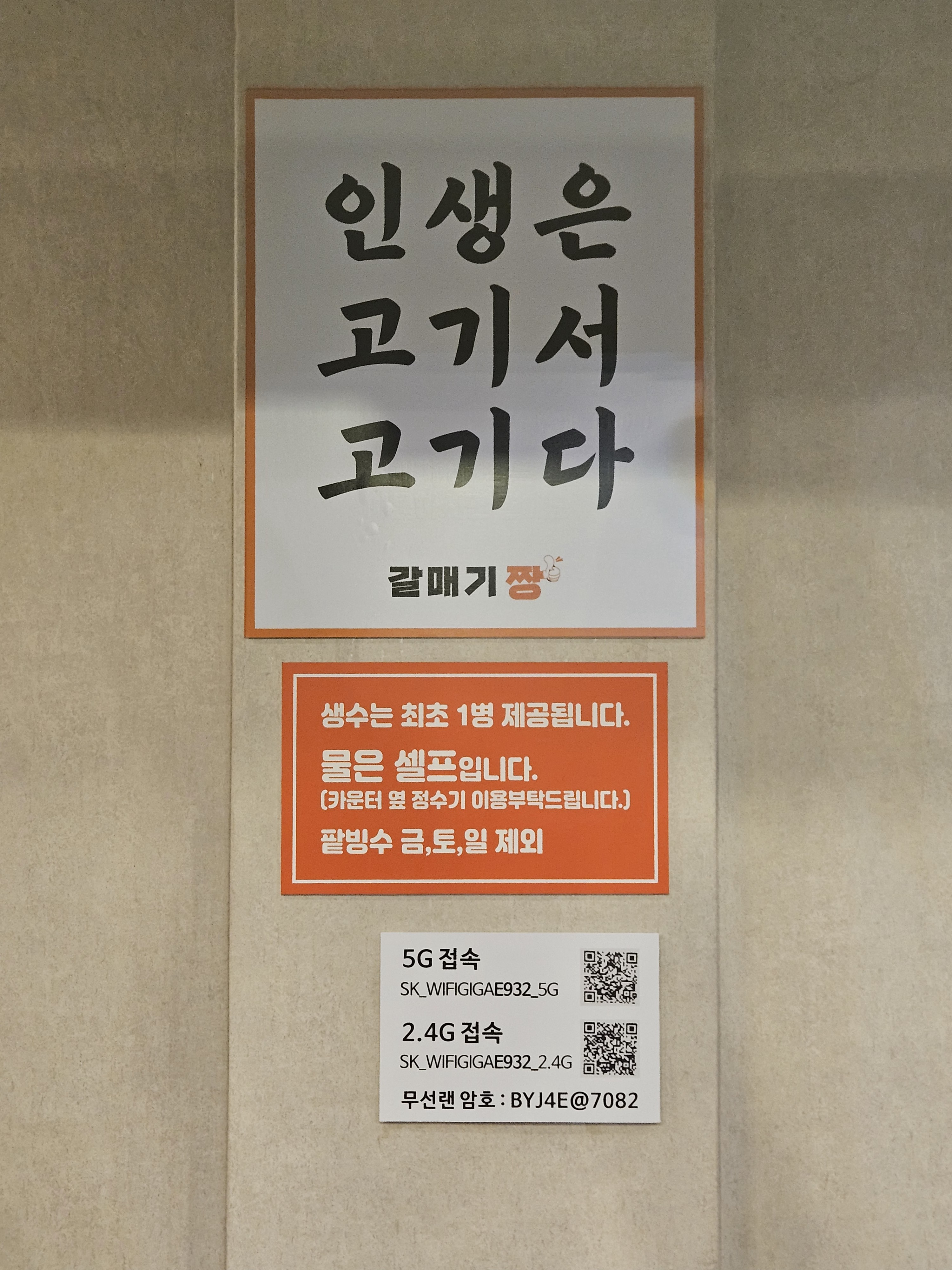 갈매기짱