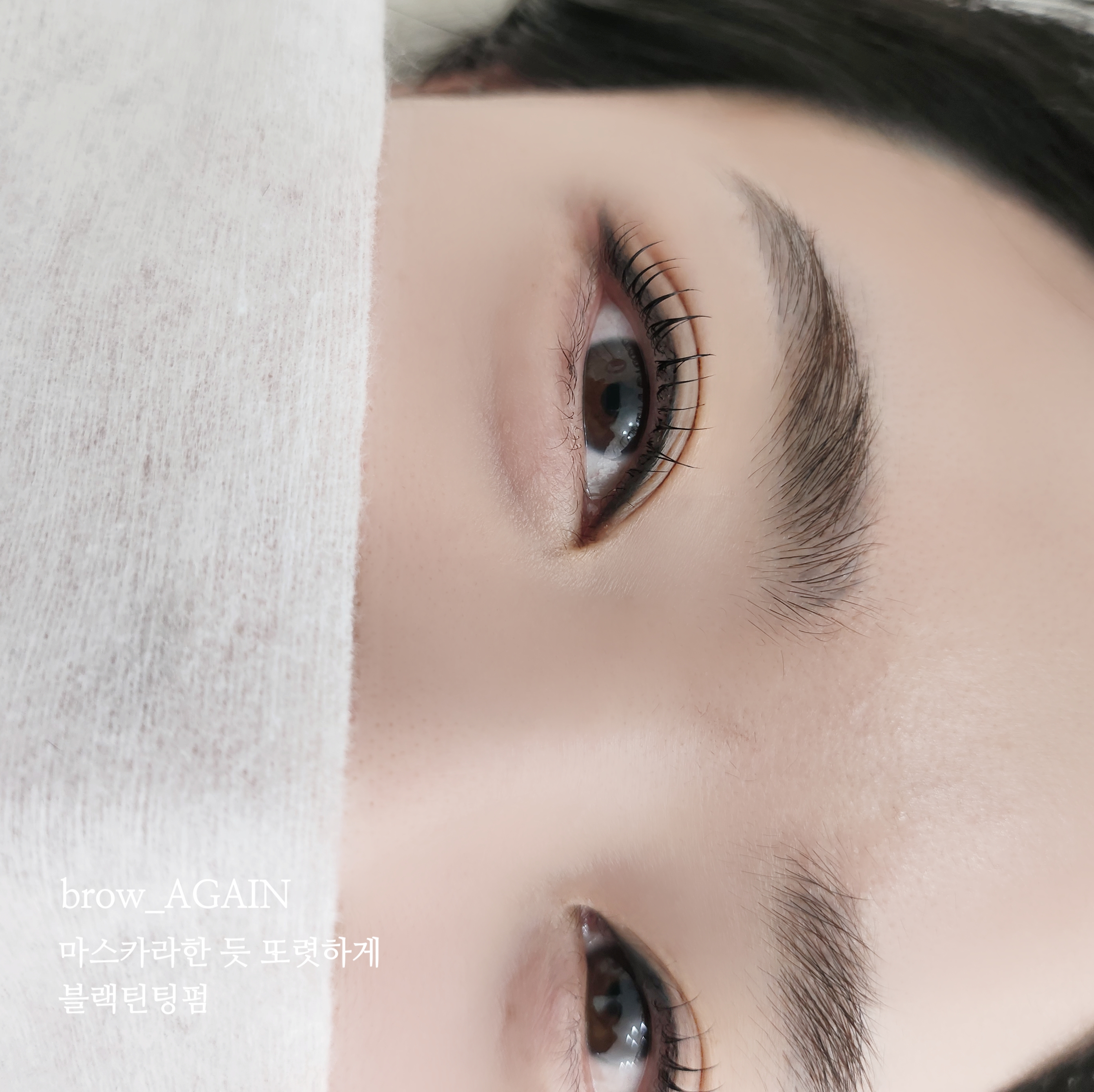 브로우어게인 군산점