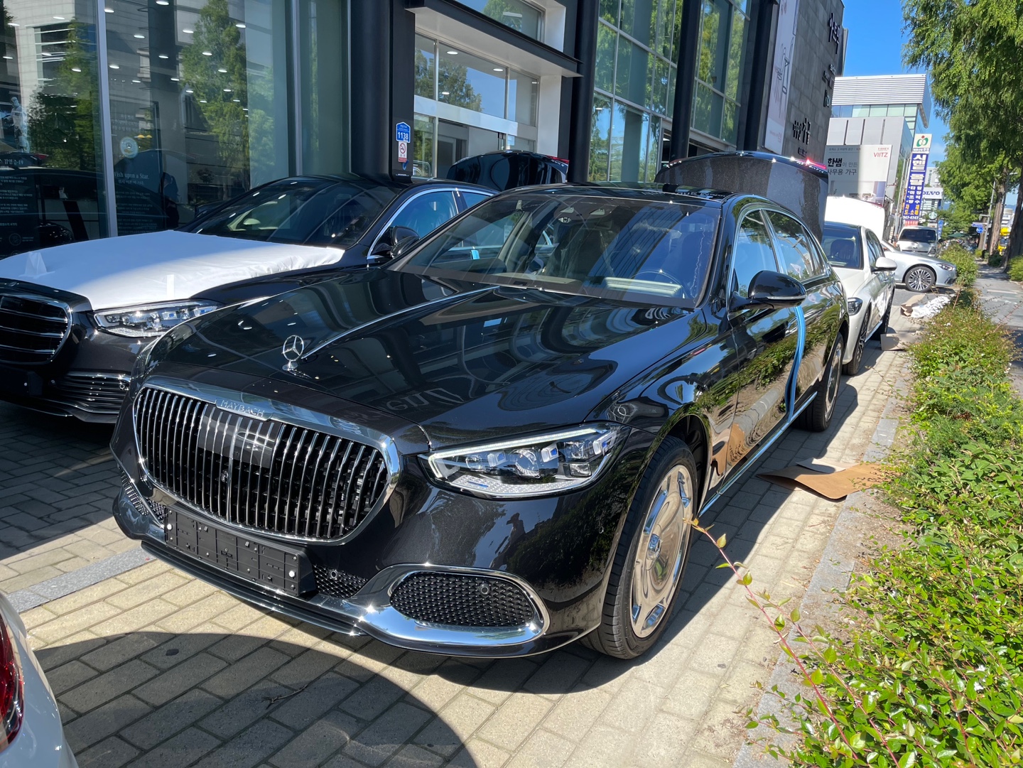 비엘렌트카 대표 이미지