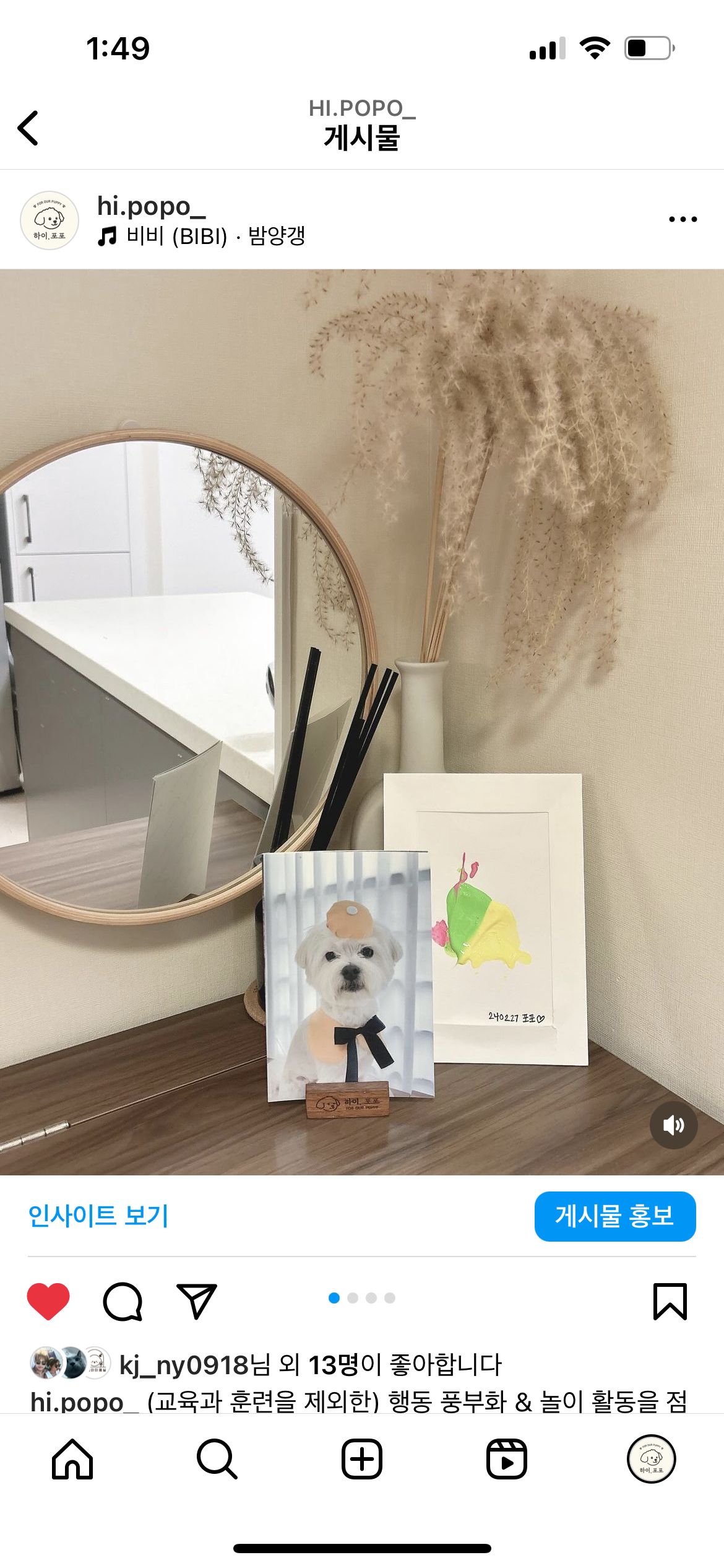 하이, 포포 대표 이미지