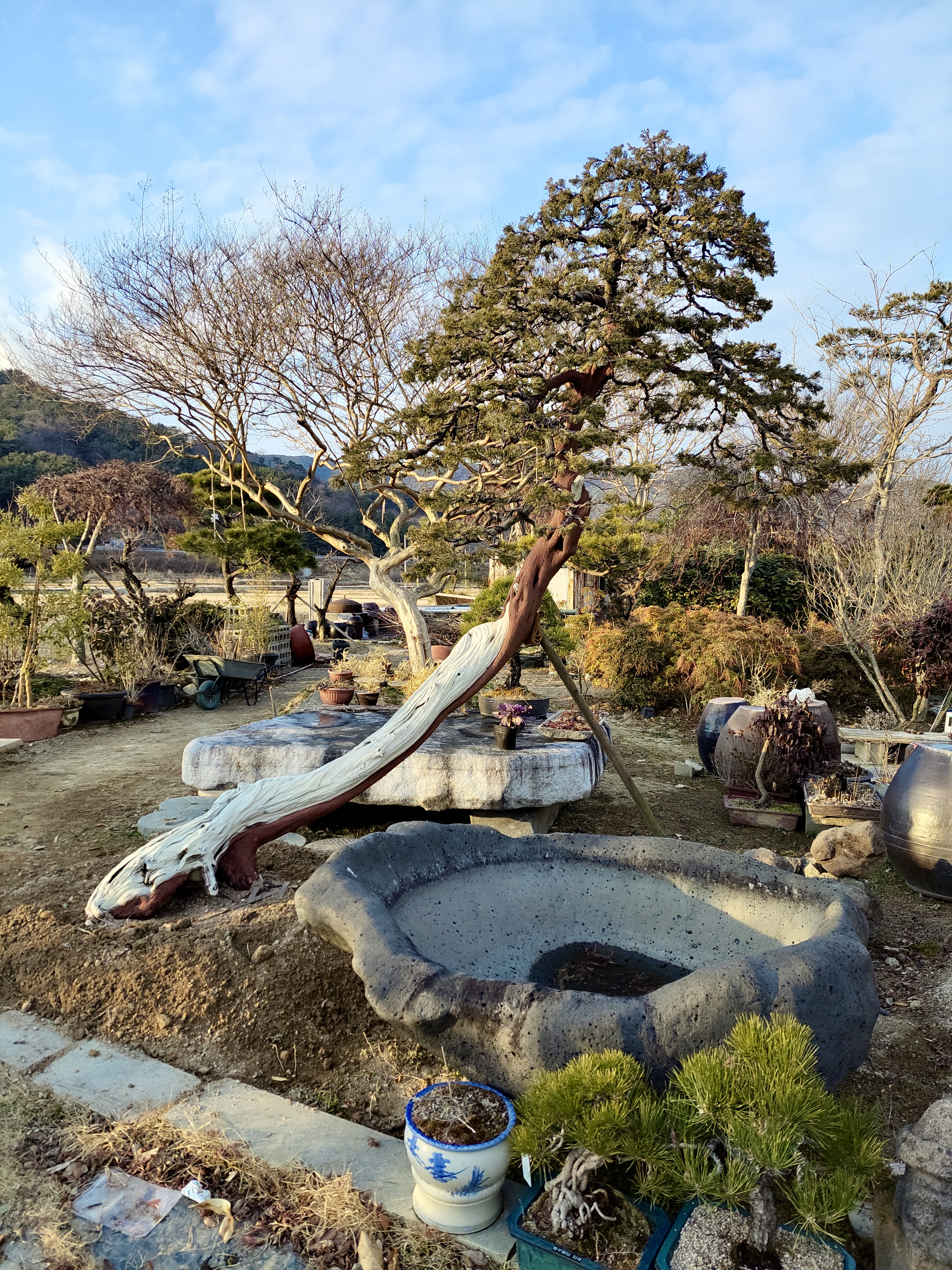 늘푸른식물원