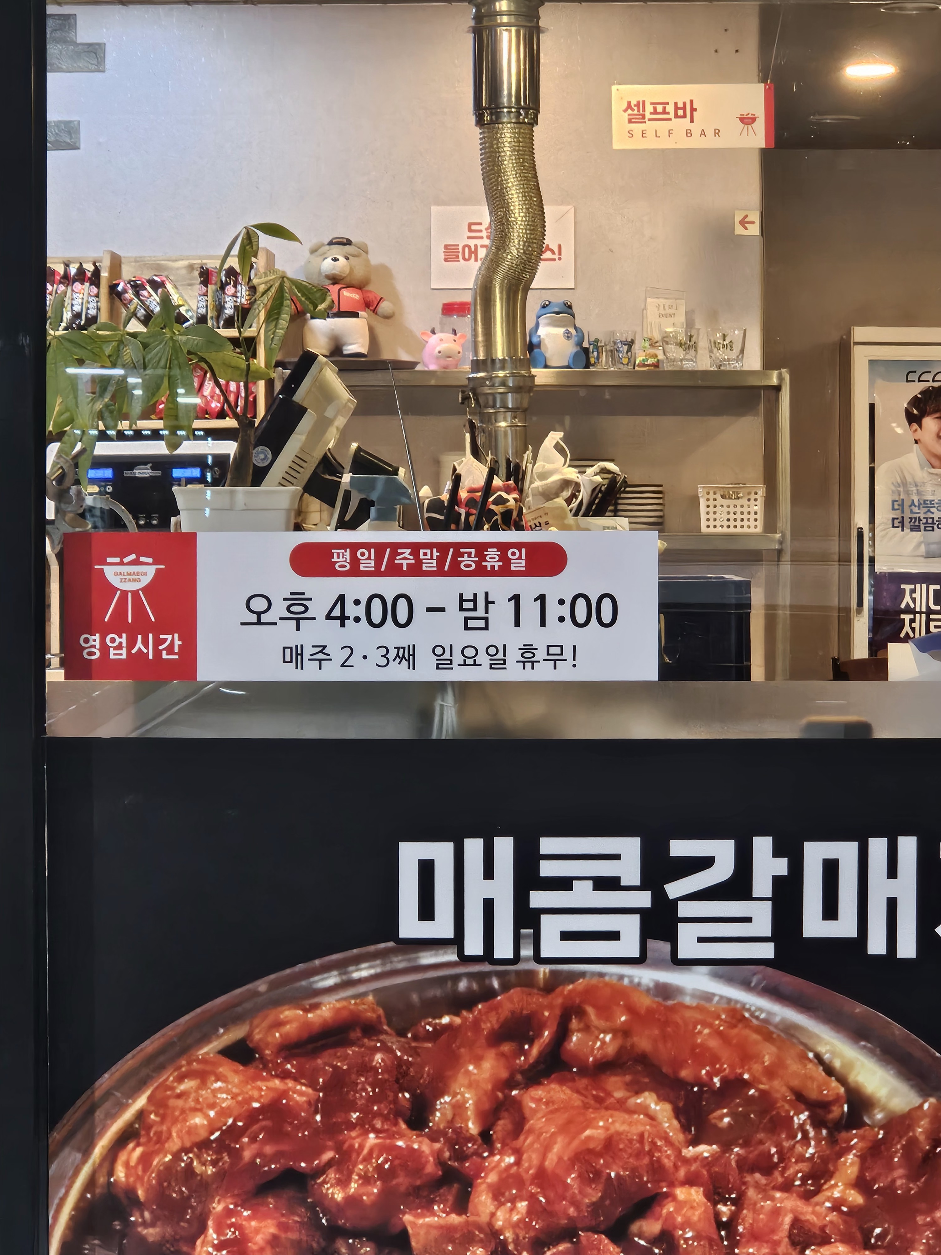 갈매기짱