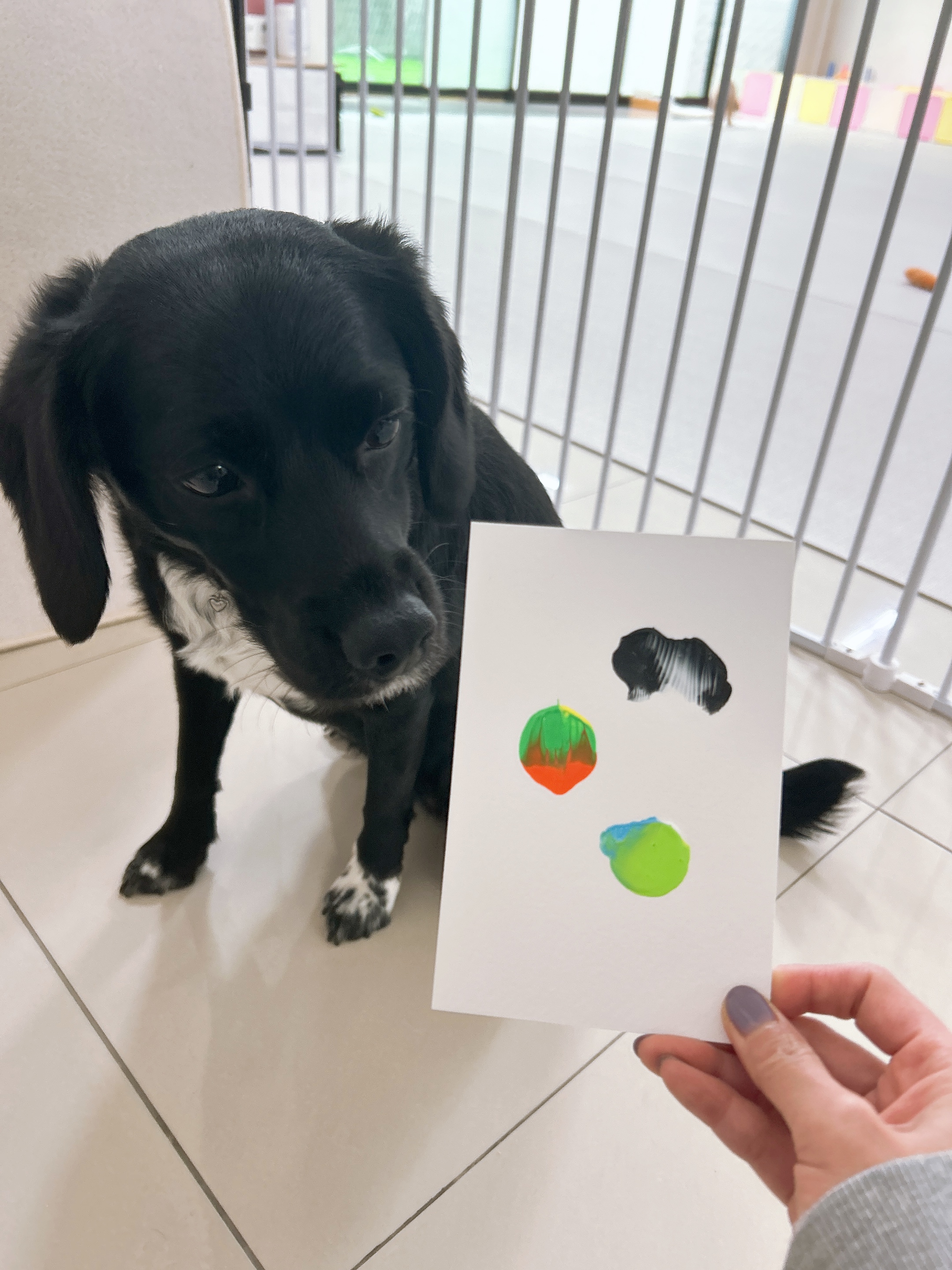 하이, 포포 대표 이미지