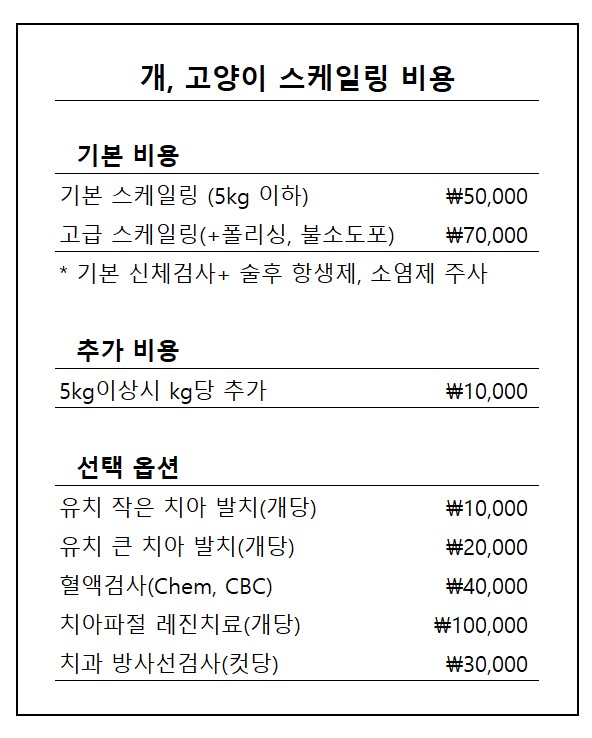 아름동물병원 내부 또는 관련 모습