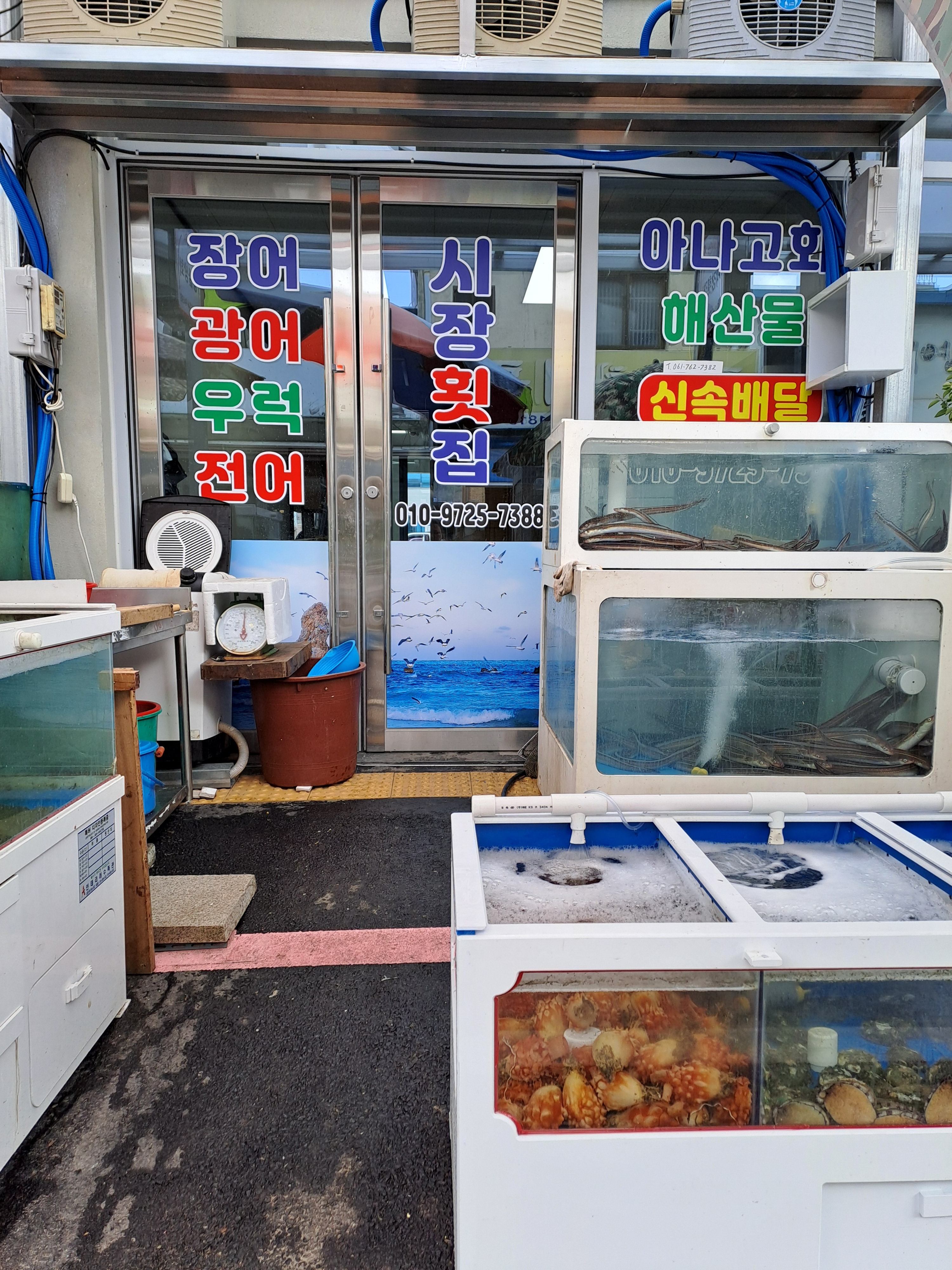 시장횟집