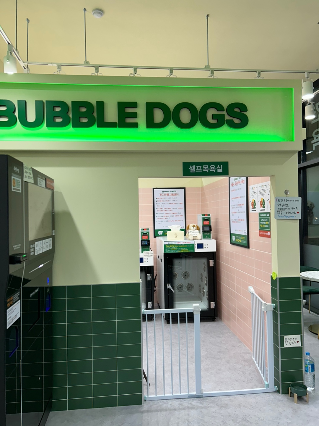 버블독스 원주무실점