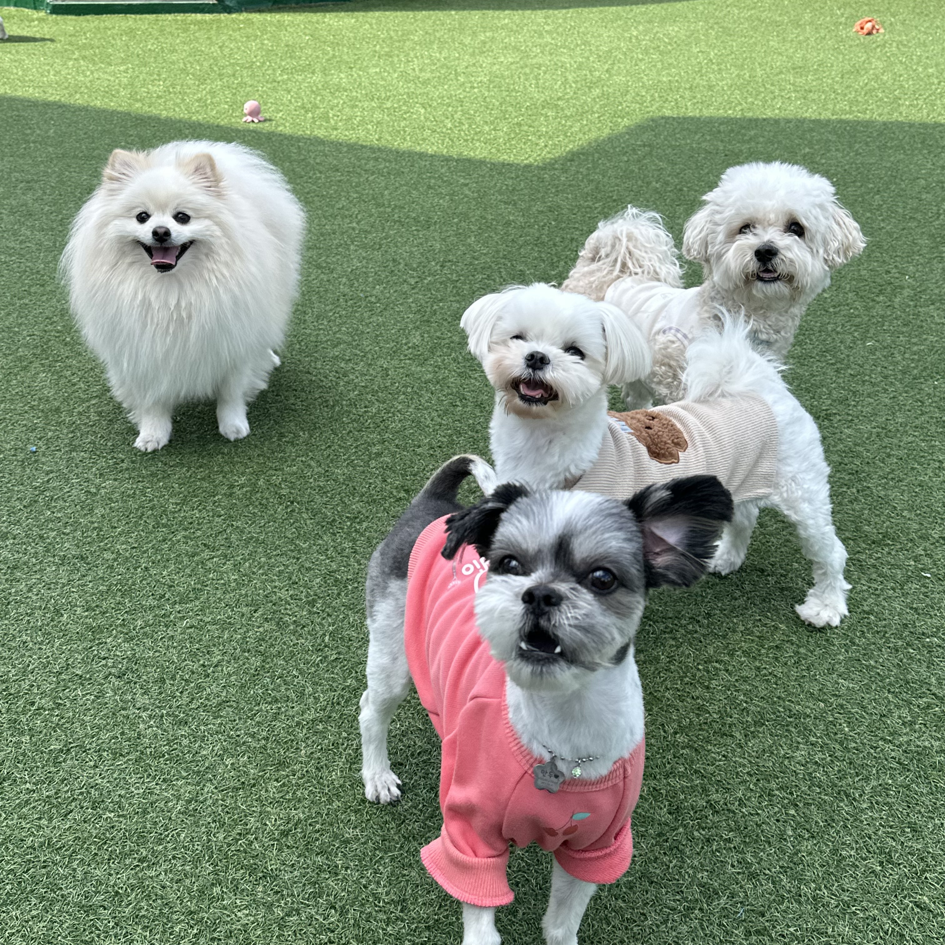 멍테소리 대표 이미지