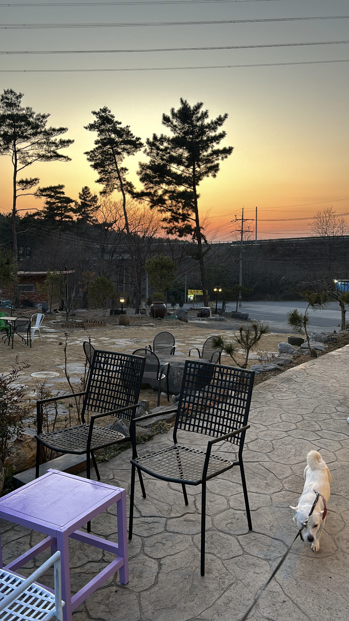 카페, 행복