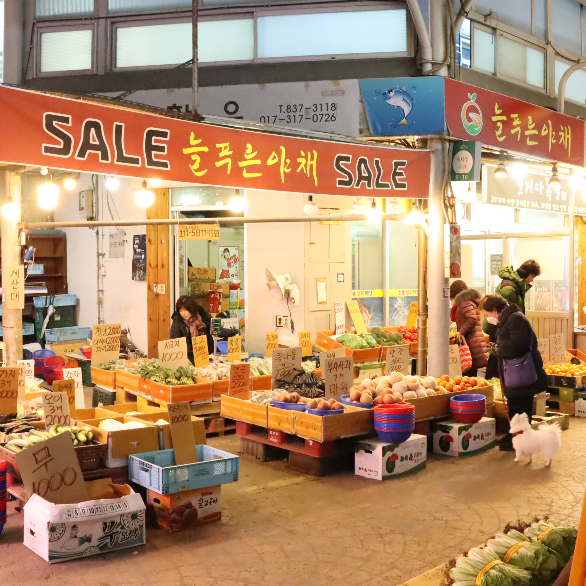 늘푸른야채
