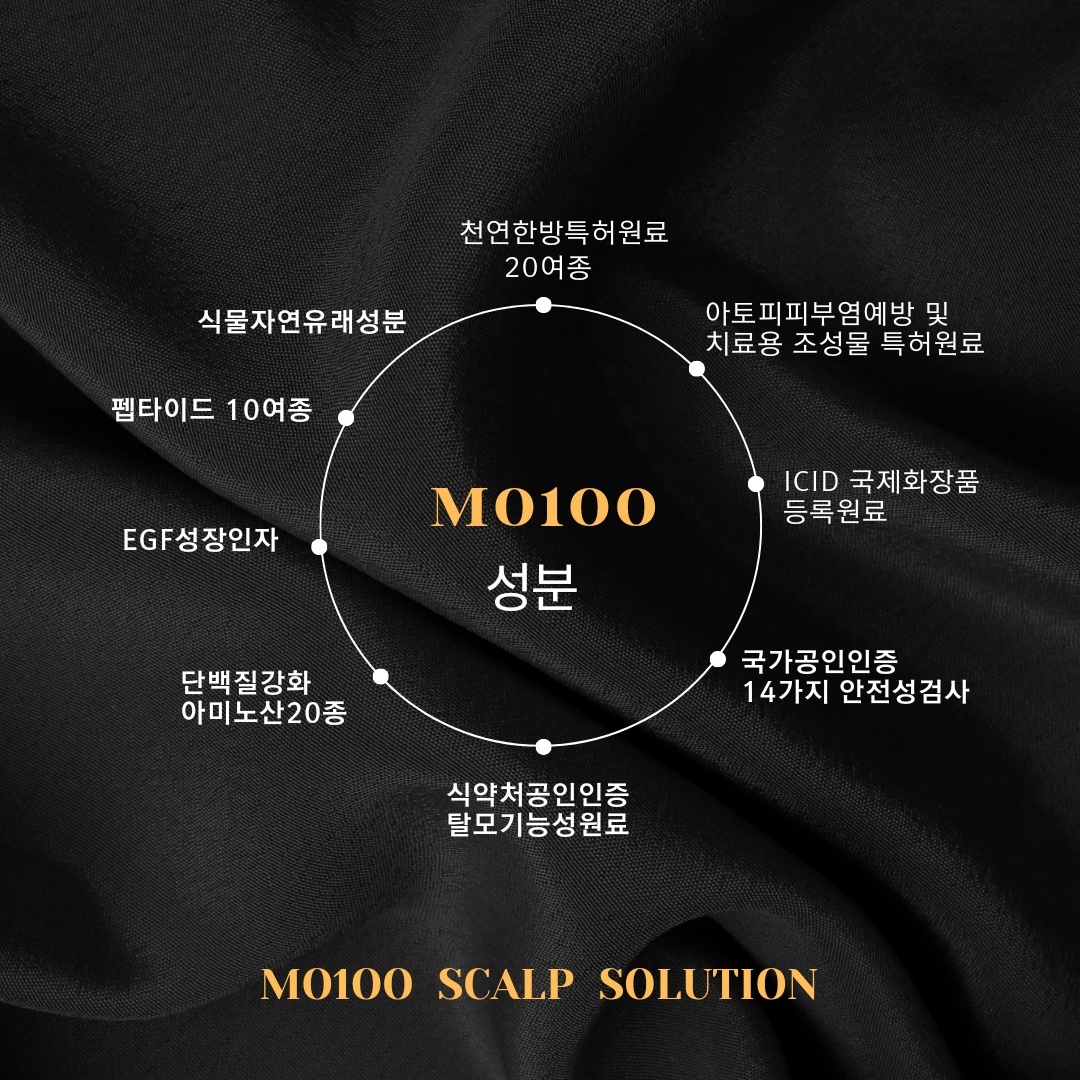 그레이스풀 대표 이미지