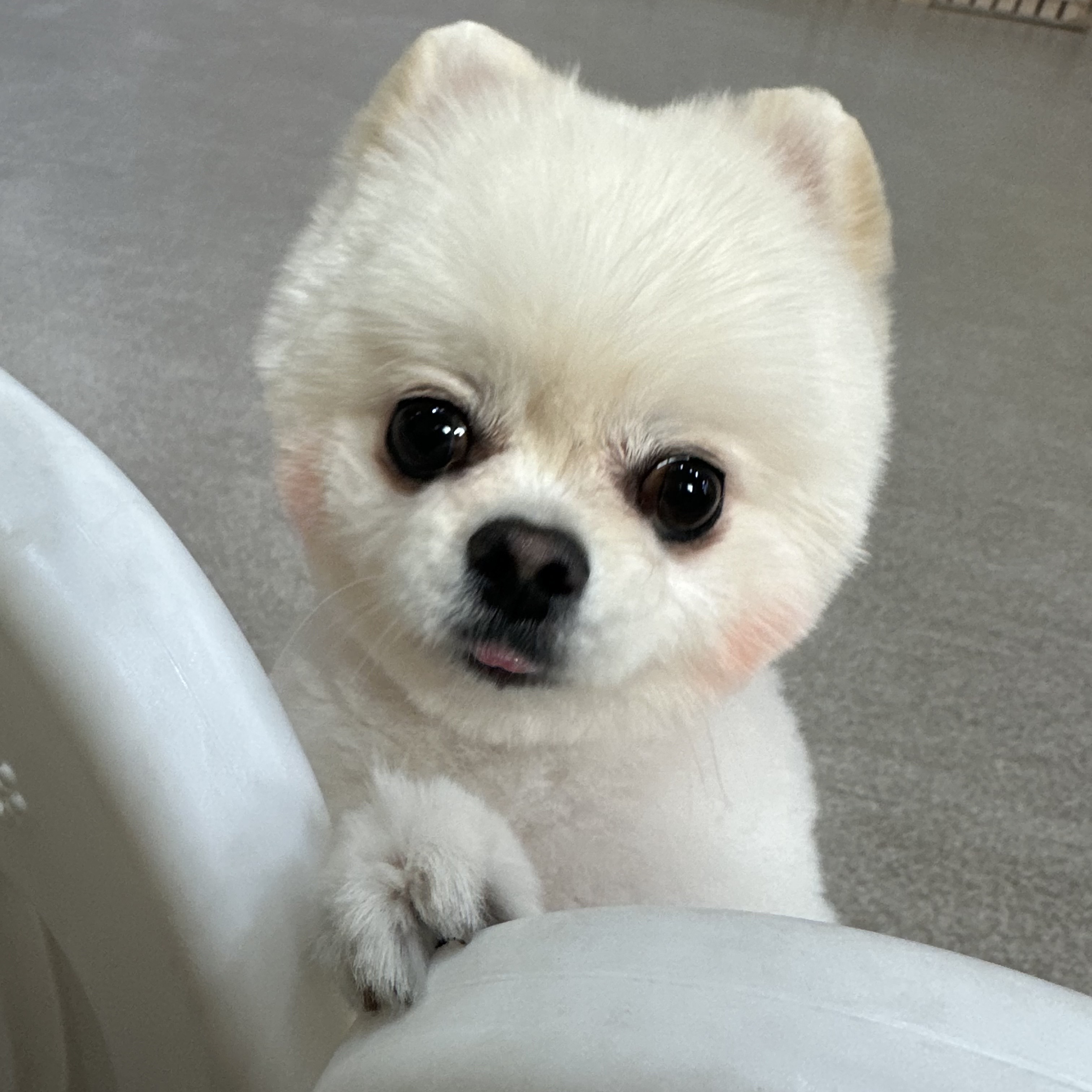 멍테소리 대표 이미지