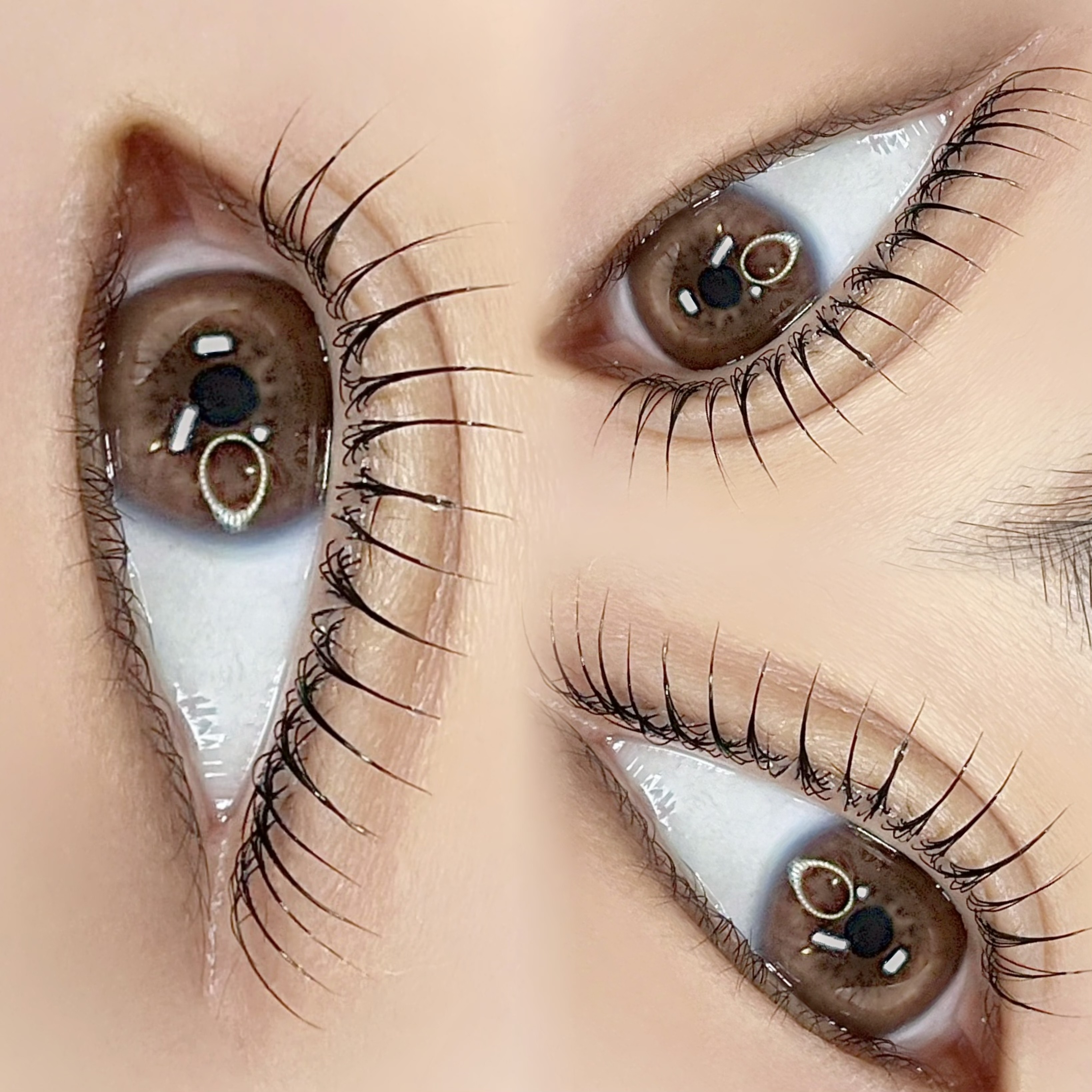 가드닝브로우 대표 이미지