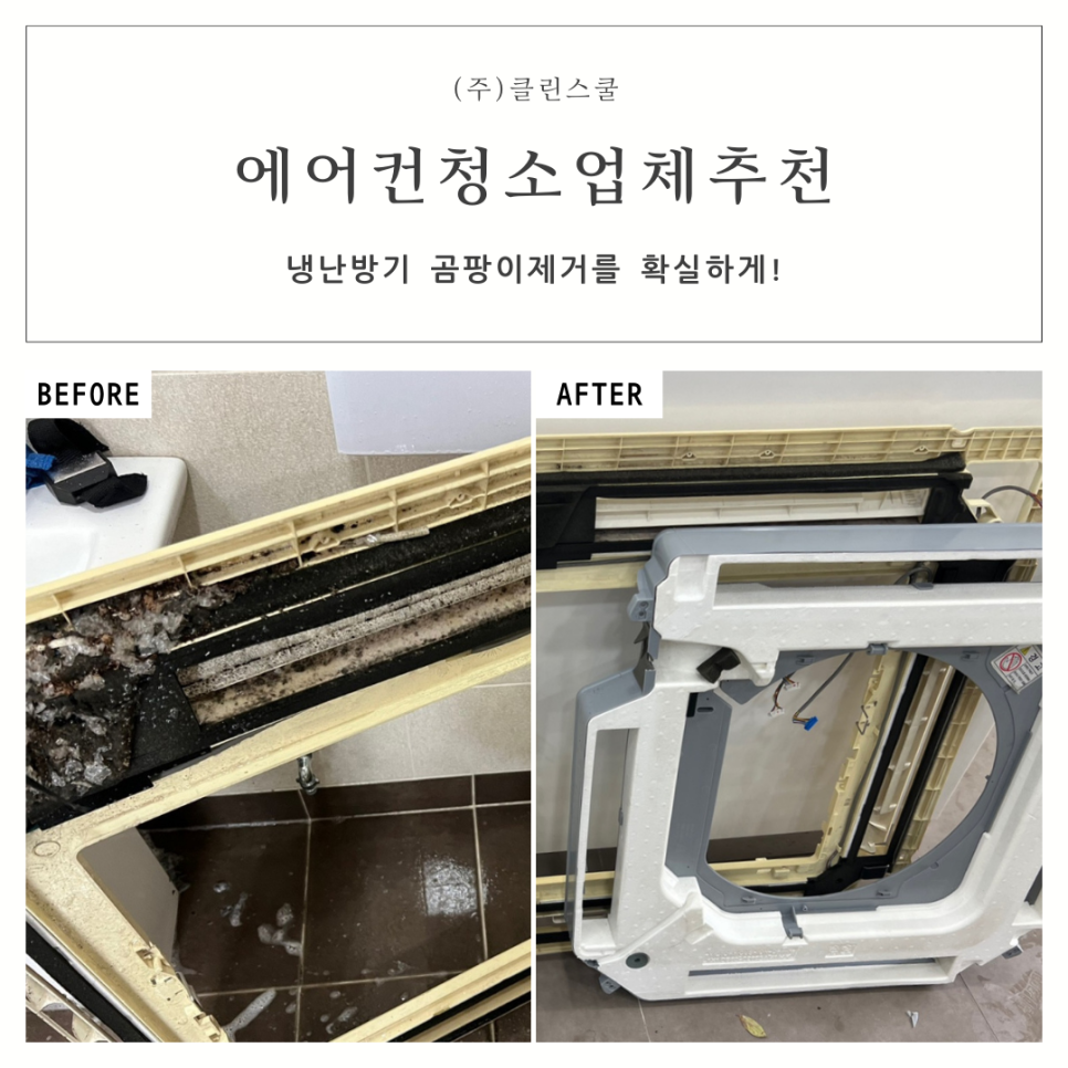 클린스쿨경기