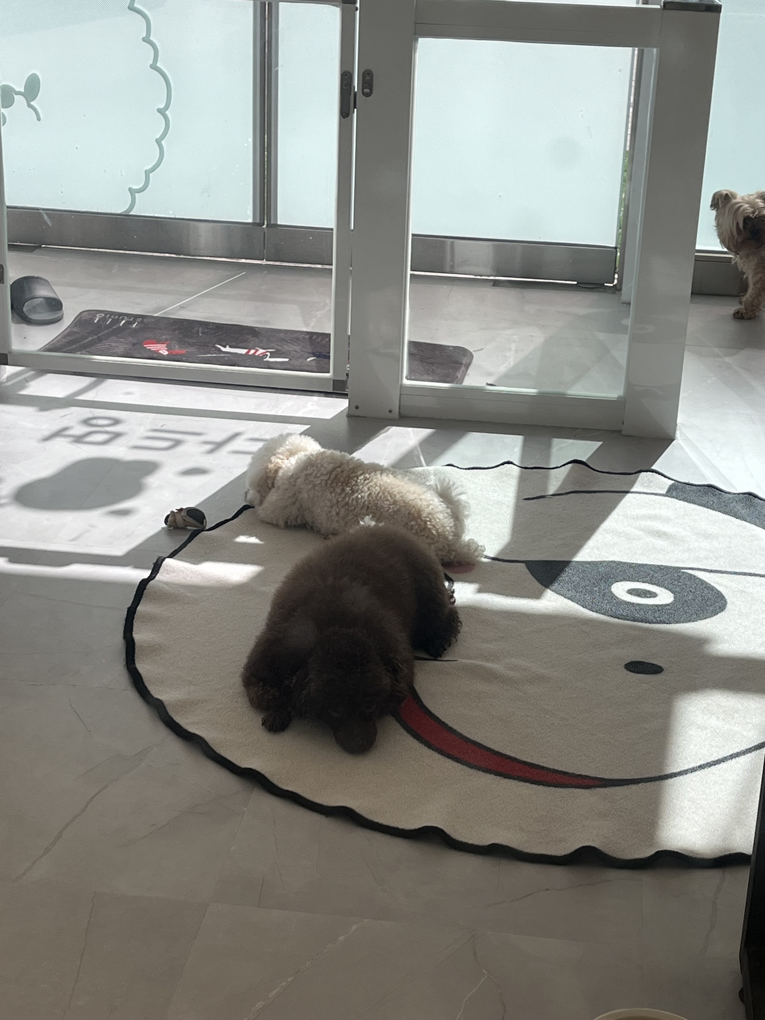 갈매 다드멍 대표 이미지