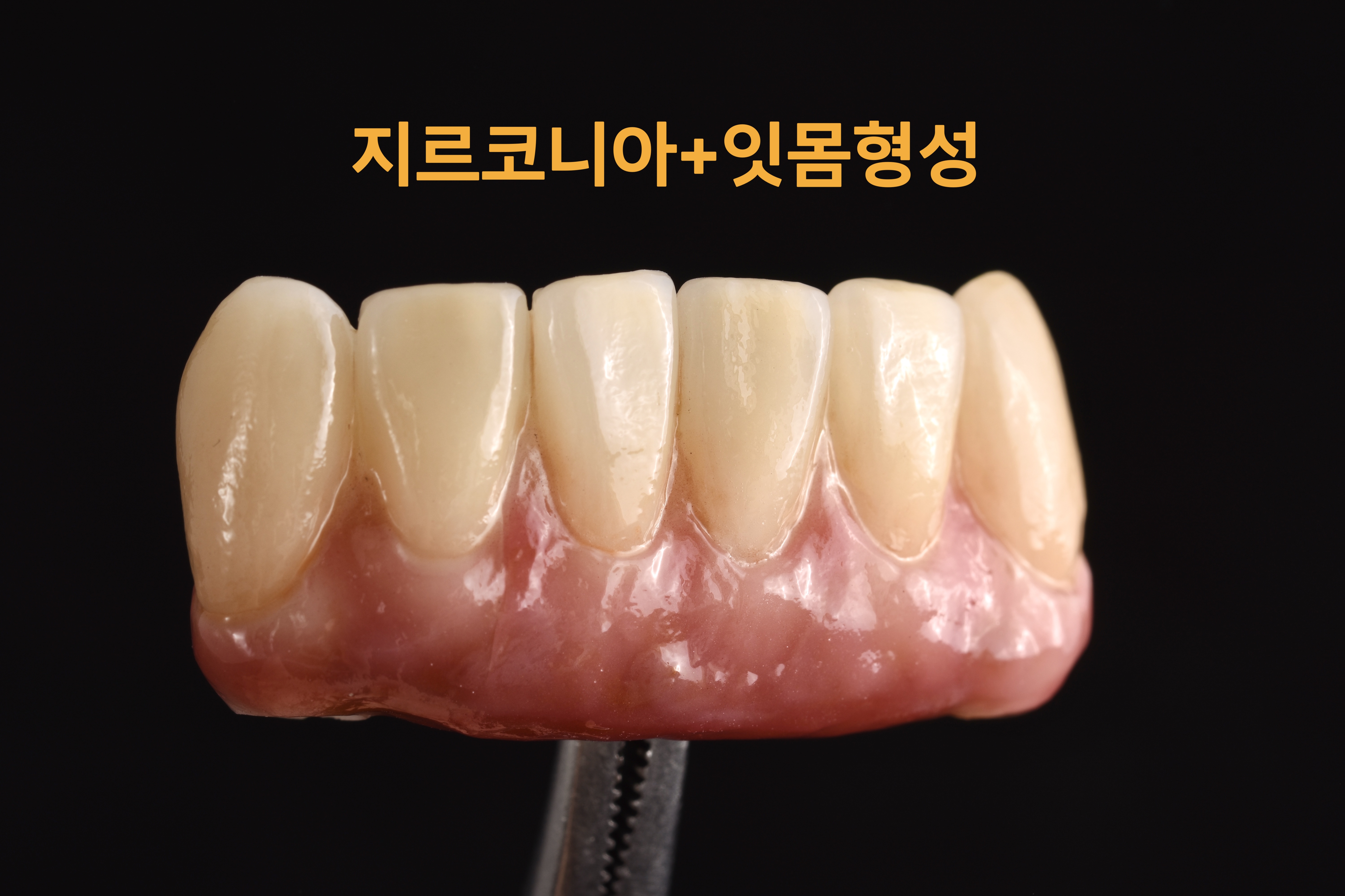 하트덴탈랩 대표 이미지