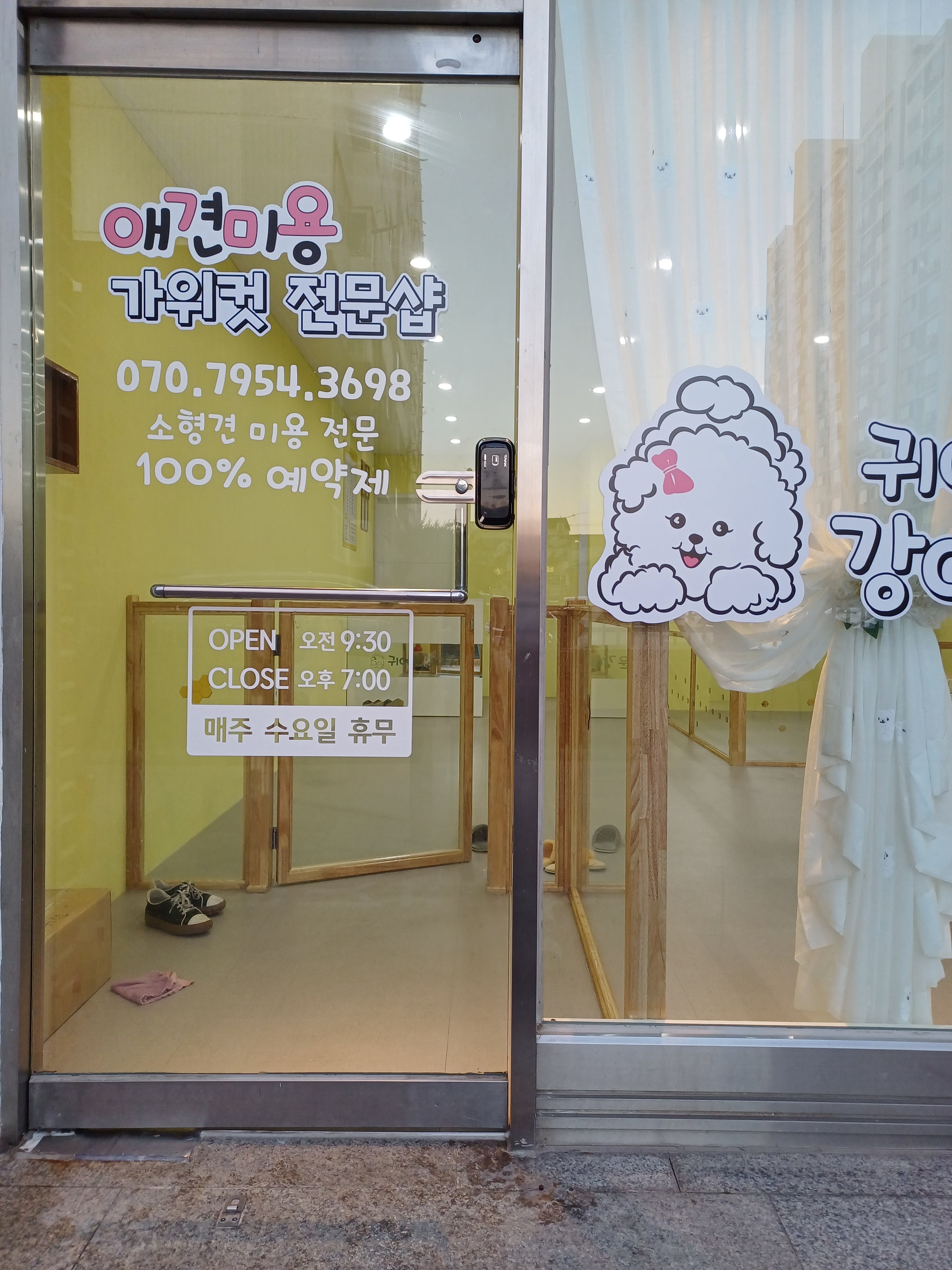 귀여운강아지