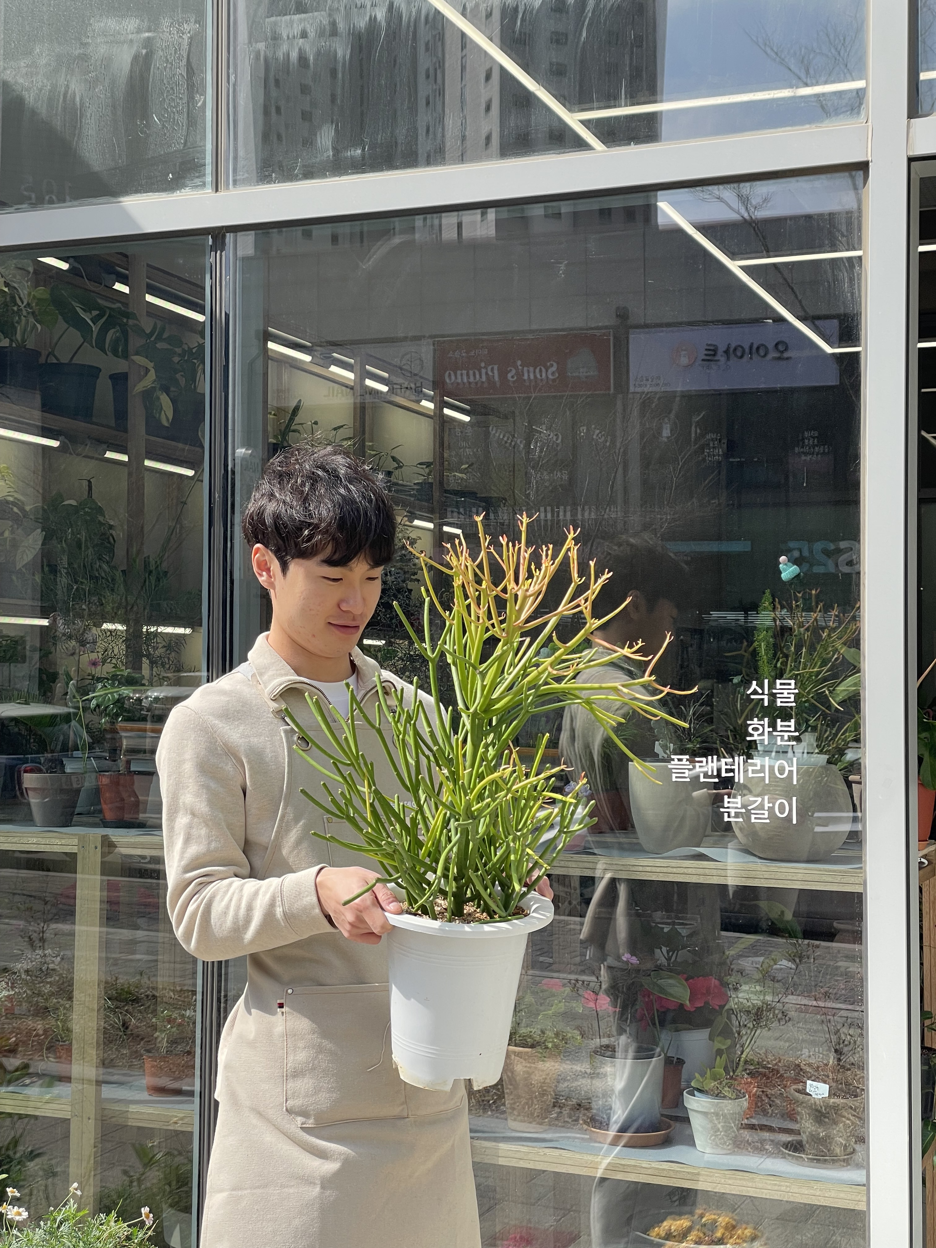 플로라데이 경산점