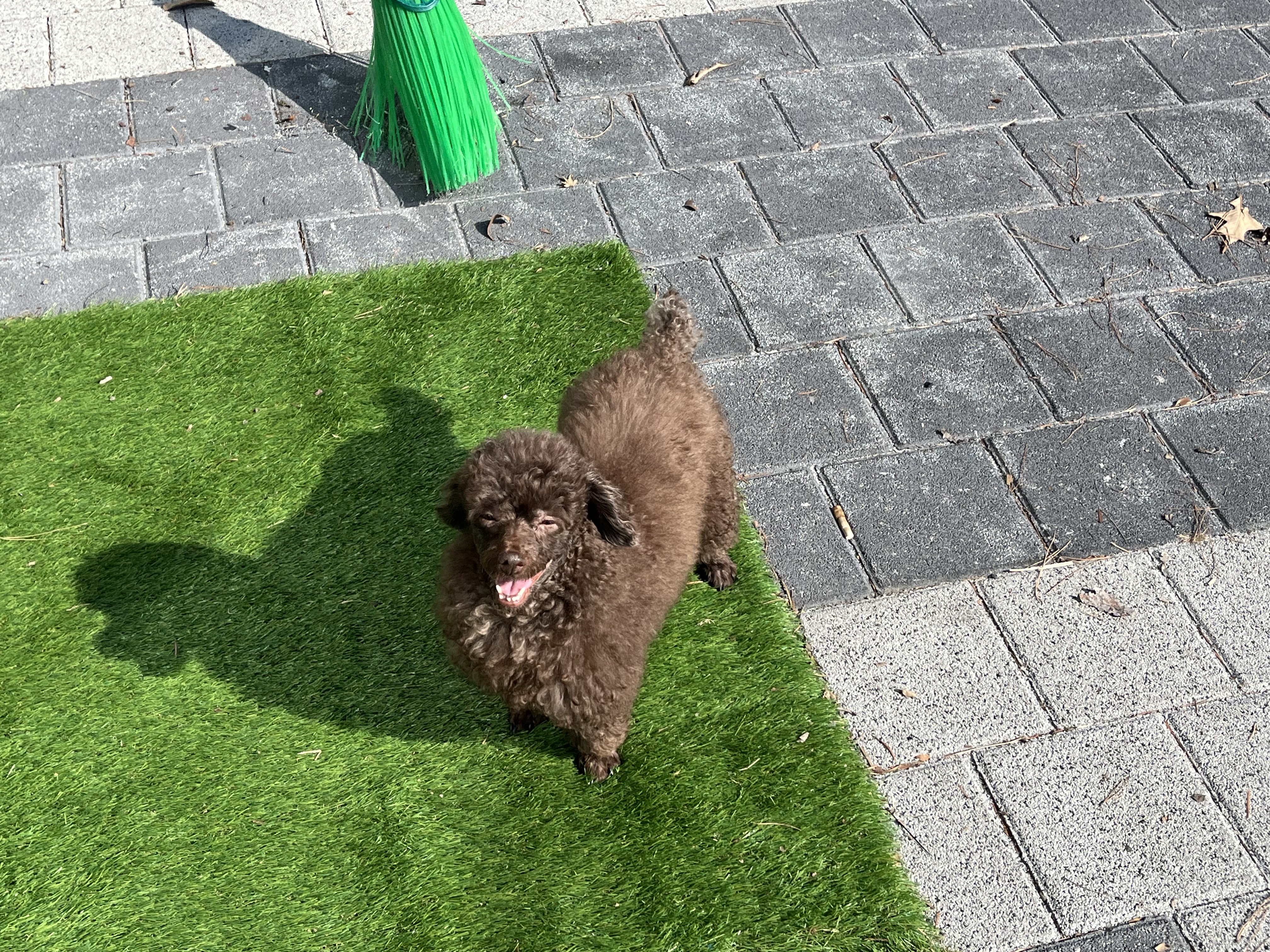 갈매 다드멍 대표 이미지