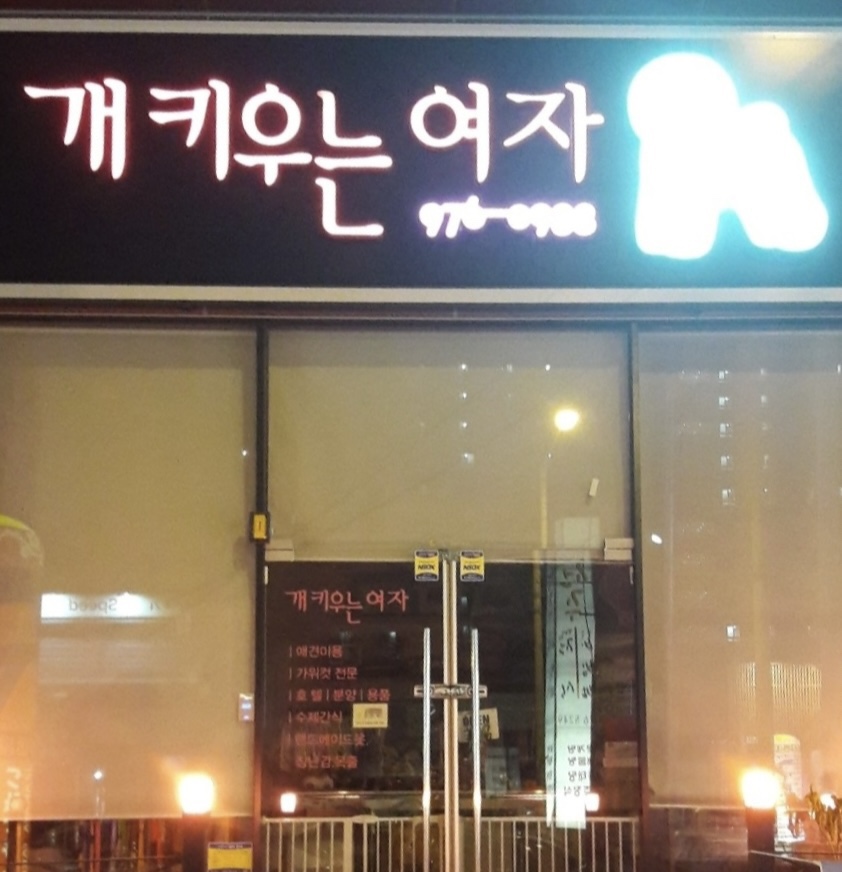개키우는여자 대표 이미지
