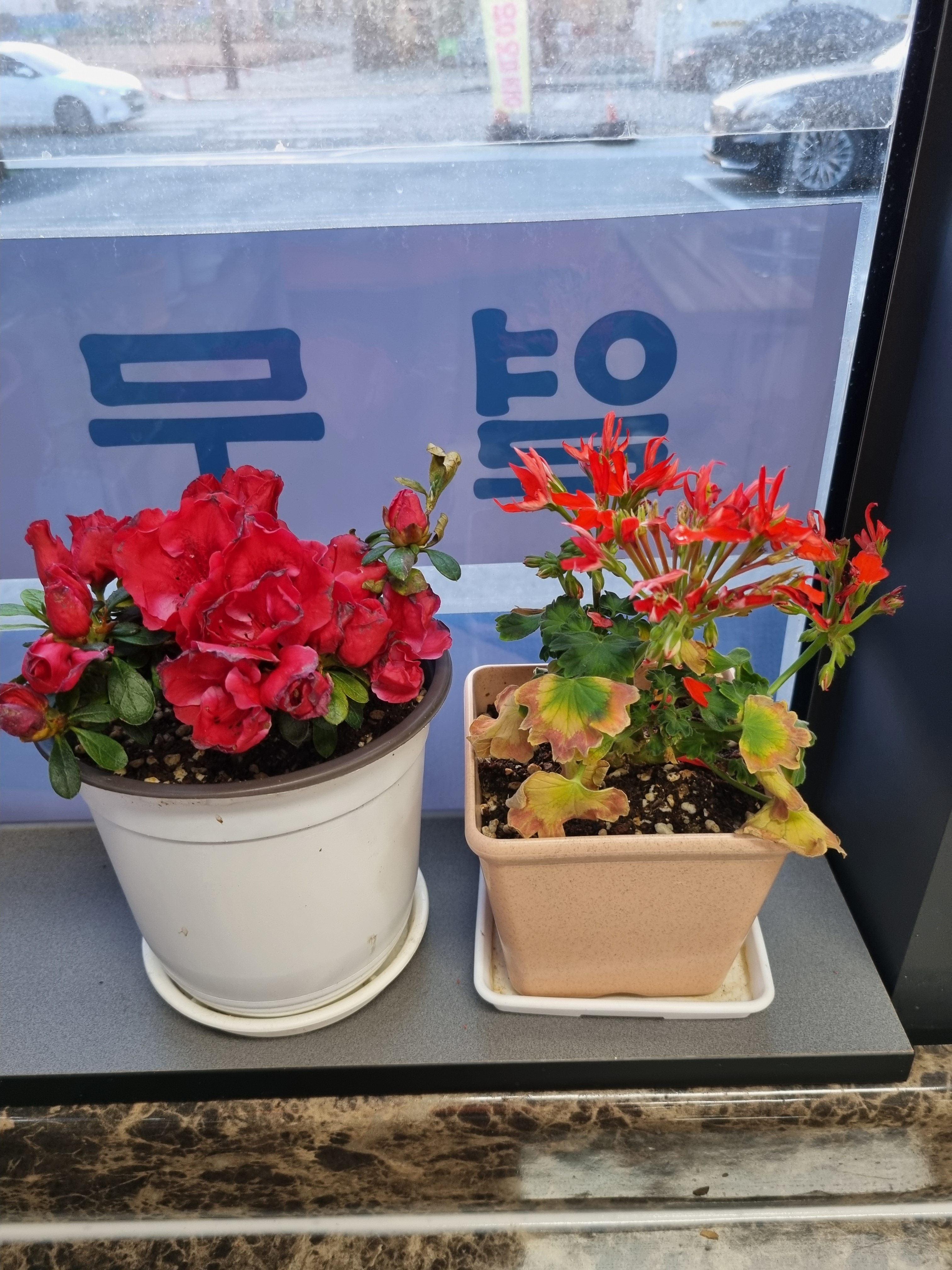 산뱅이국수