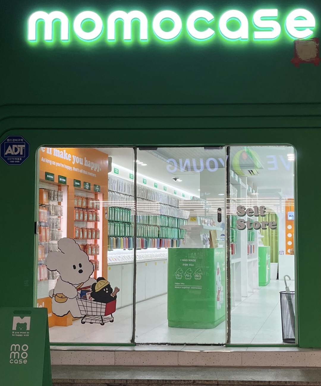 모모케이스 강릉점