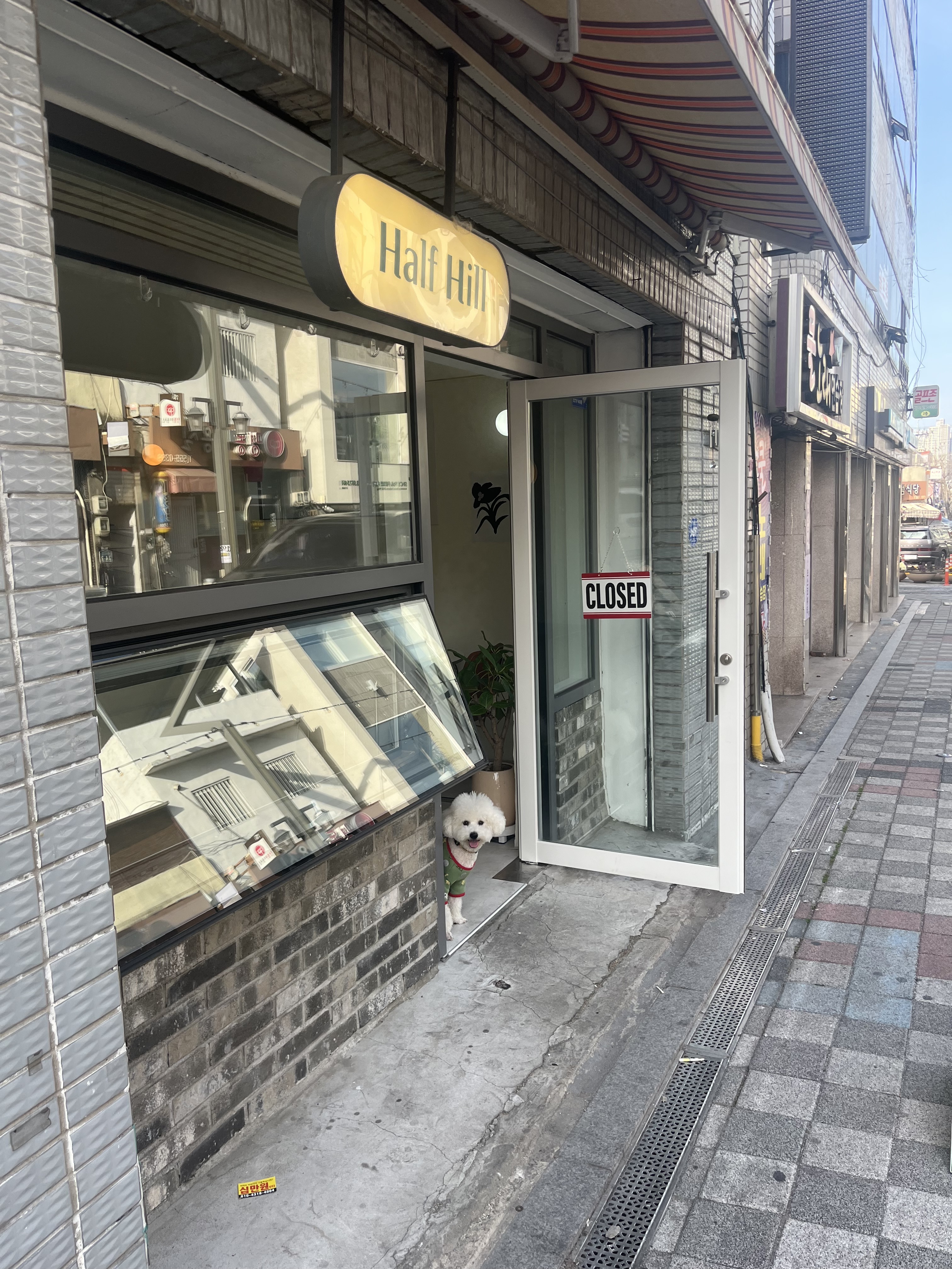 하프힐