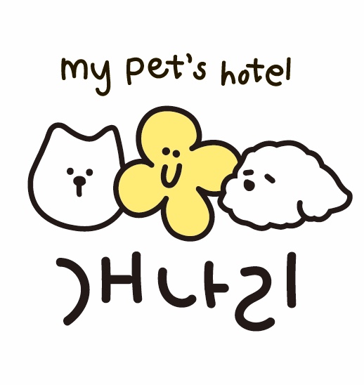 개나리 대표 이미지