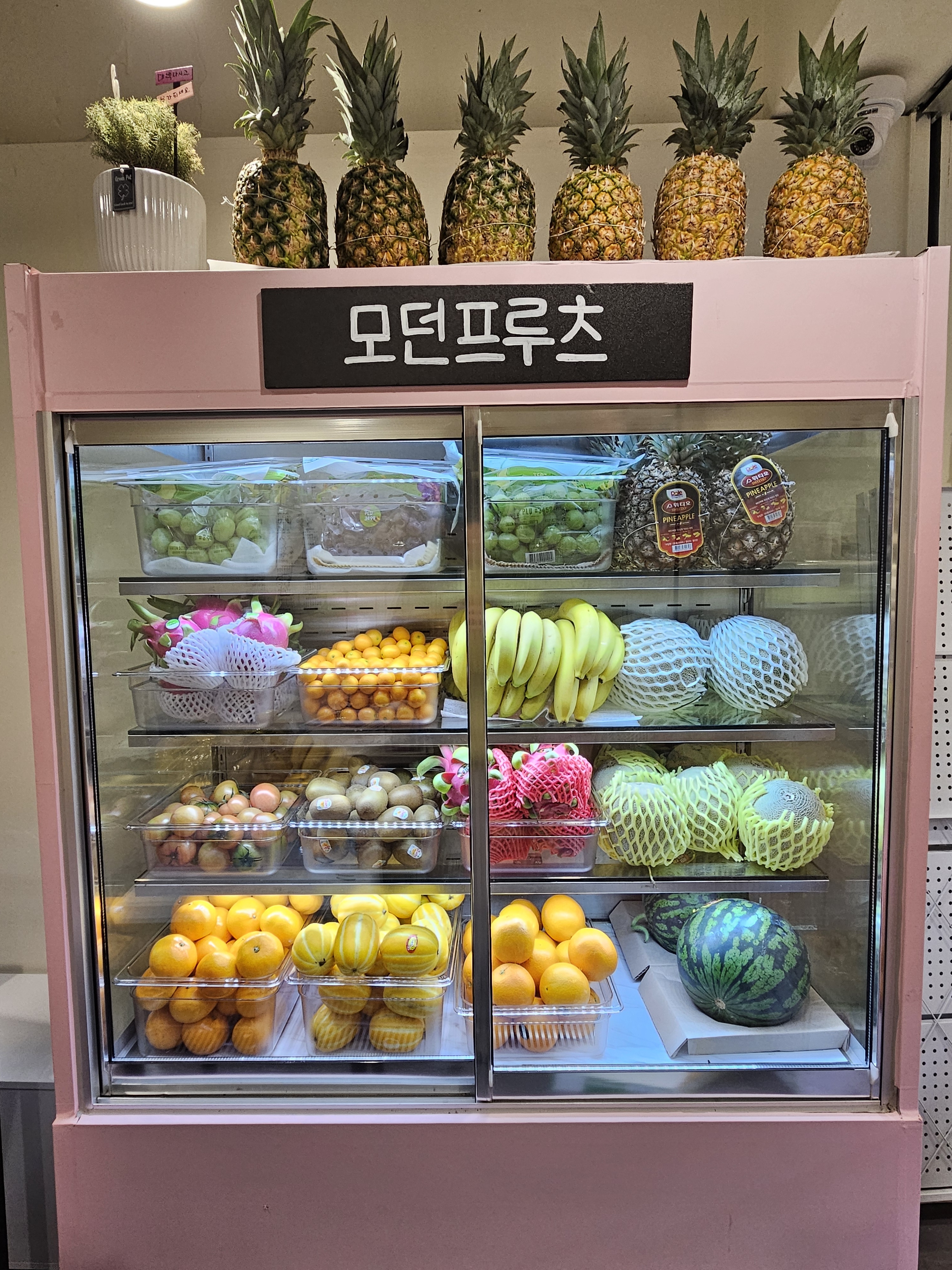 모던프루츠 수원본점