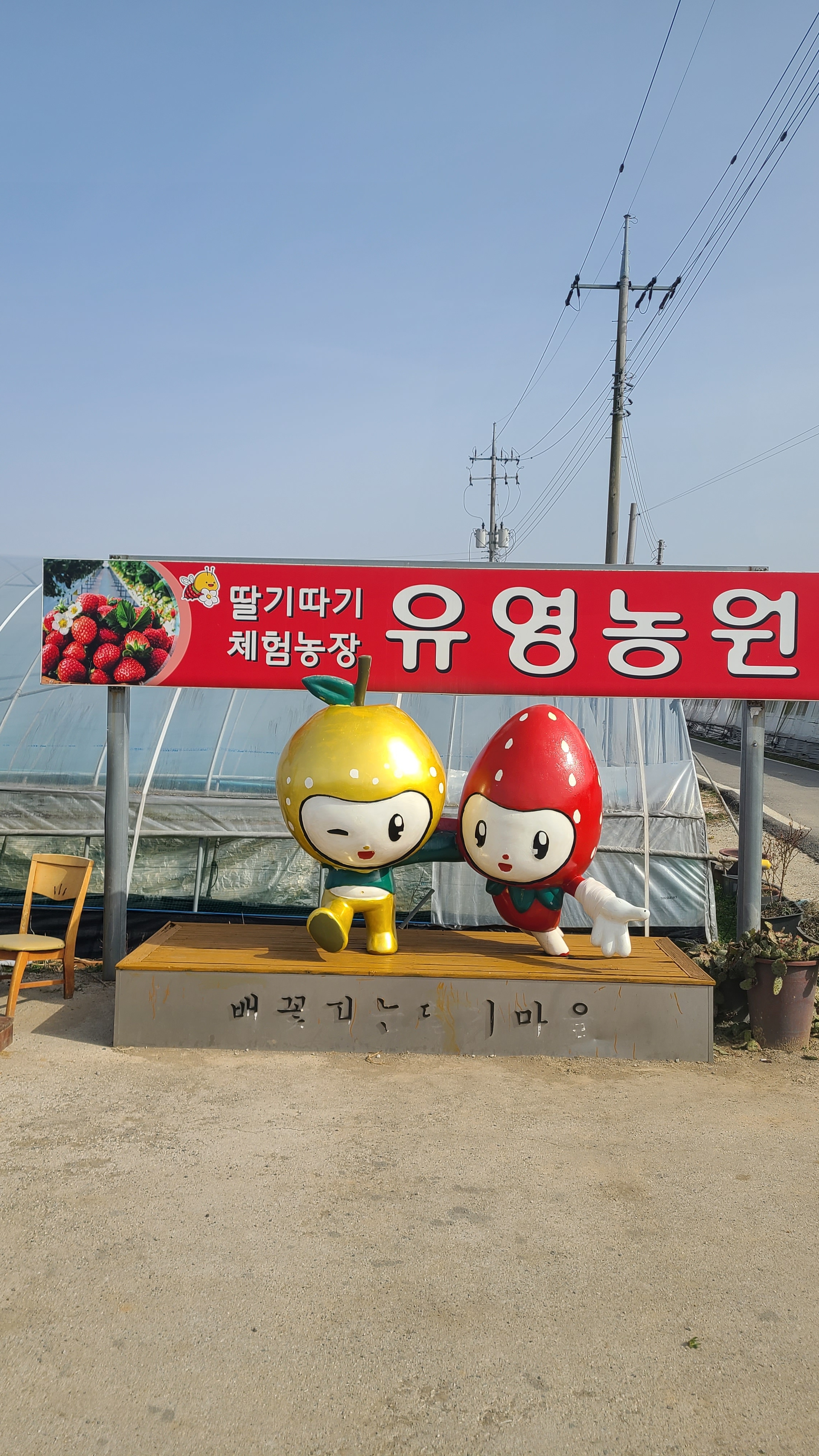 유영농원