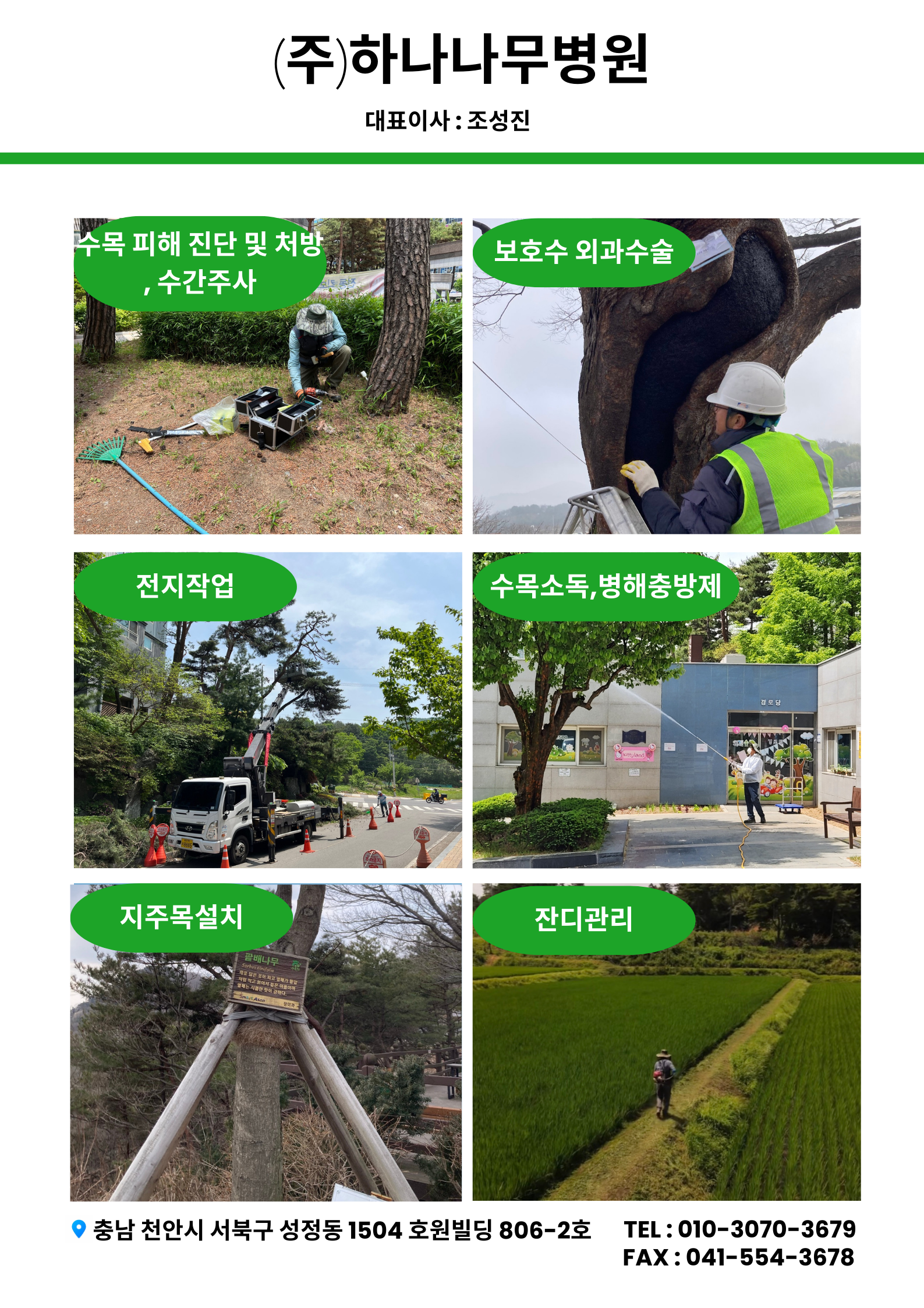 하나나무병원
