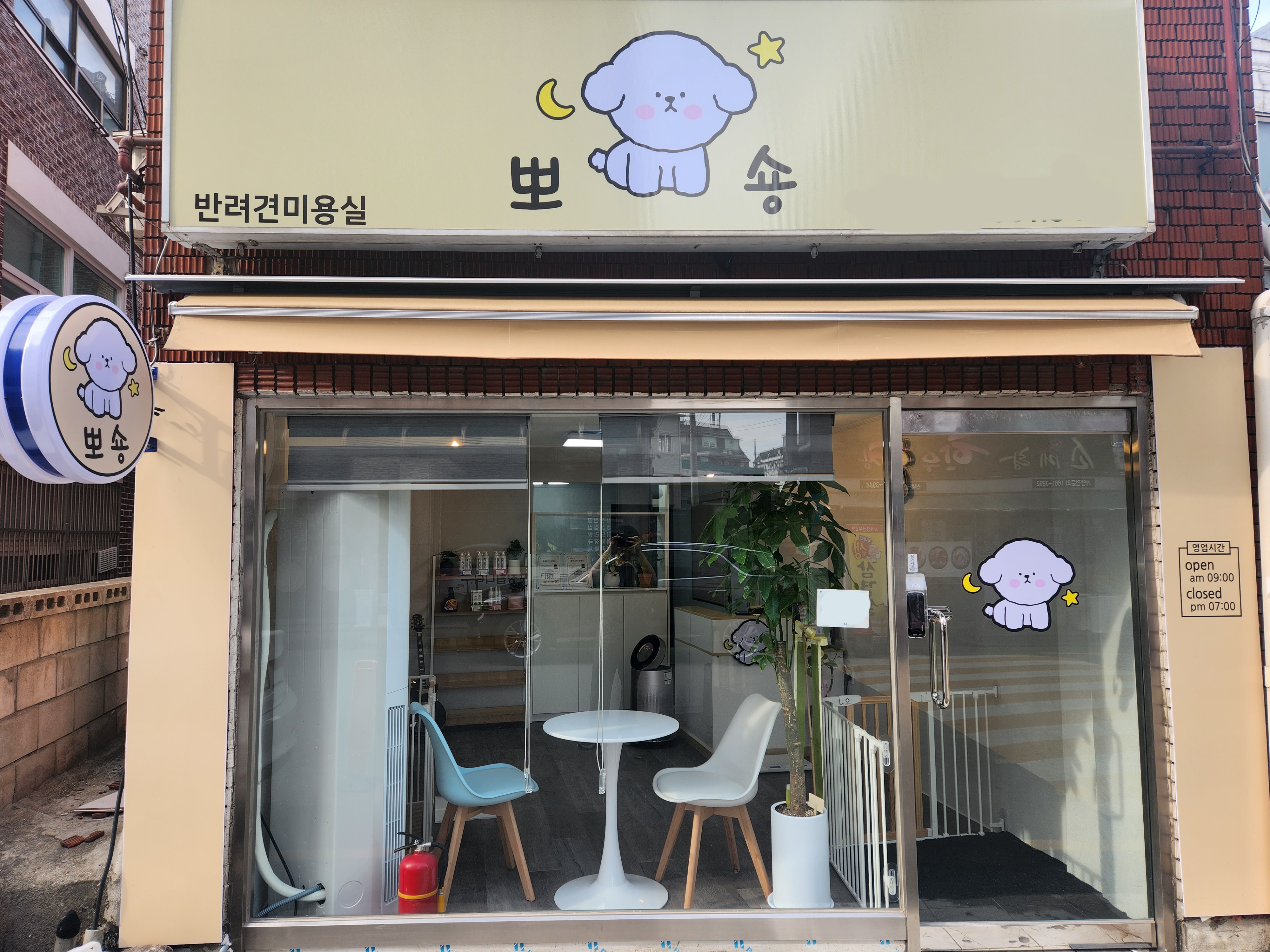 뽀숑 대표 이미지