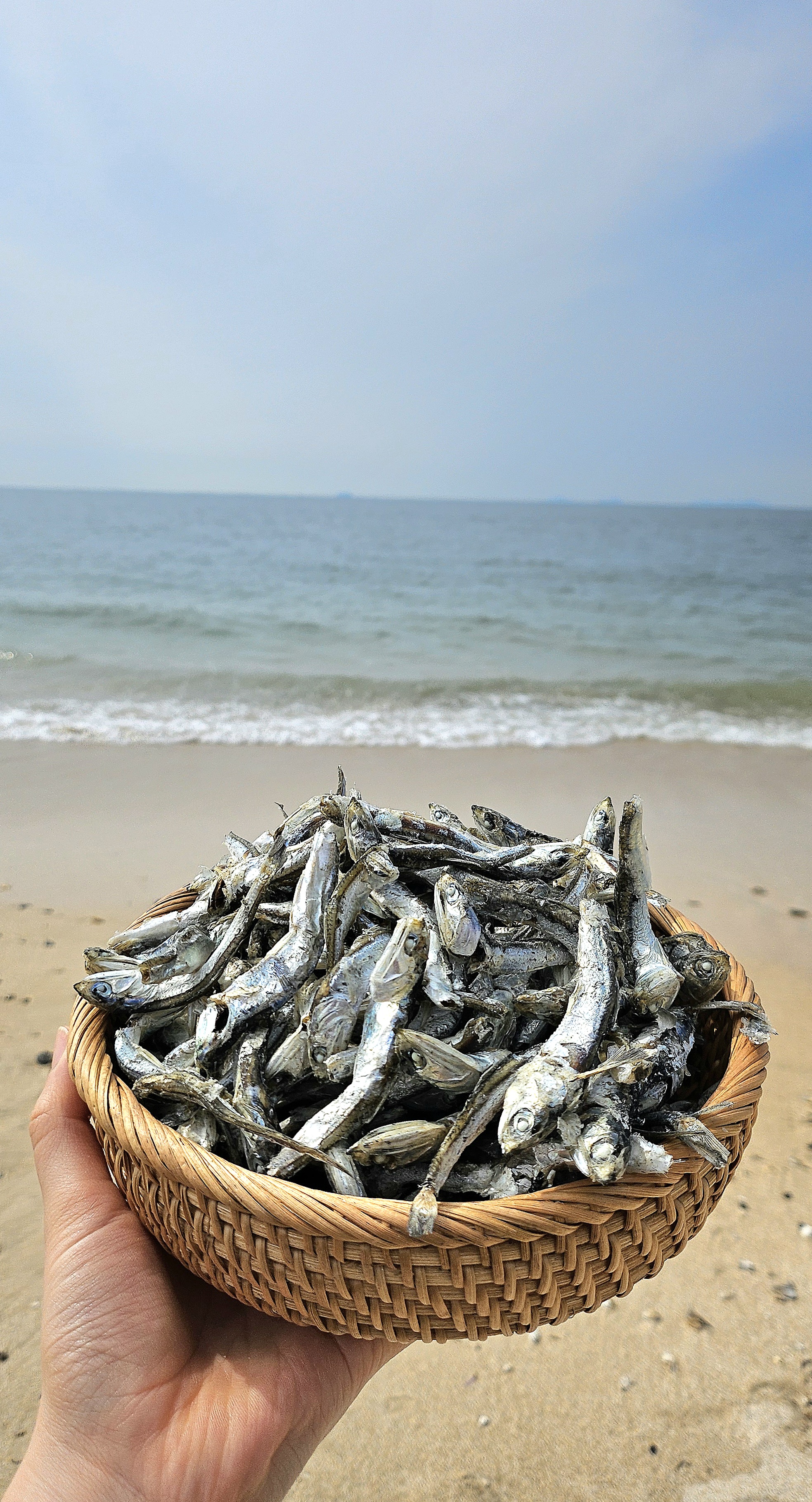 해보령