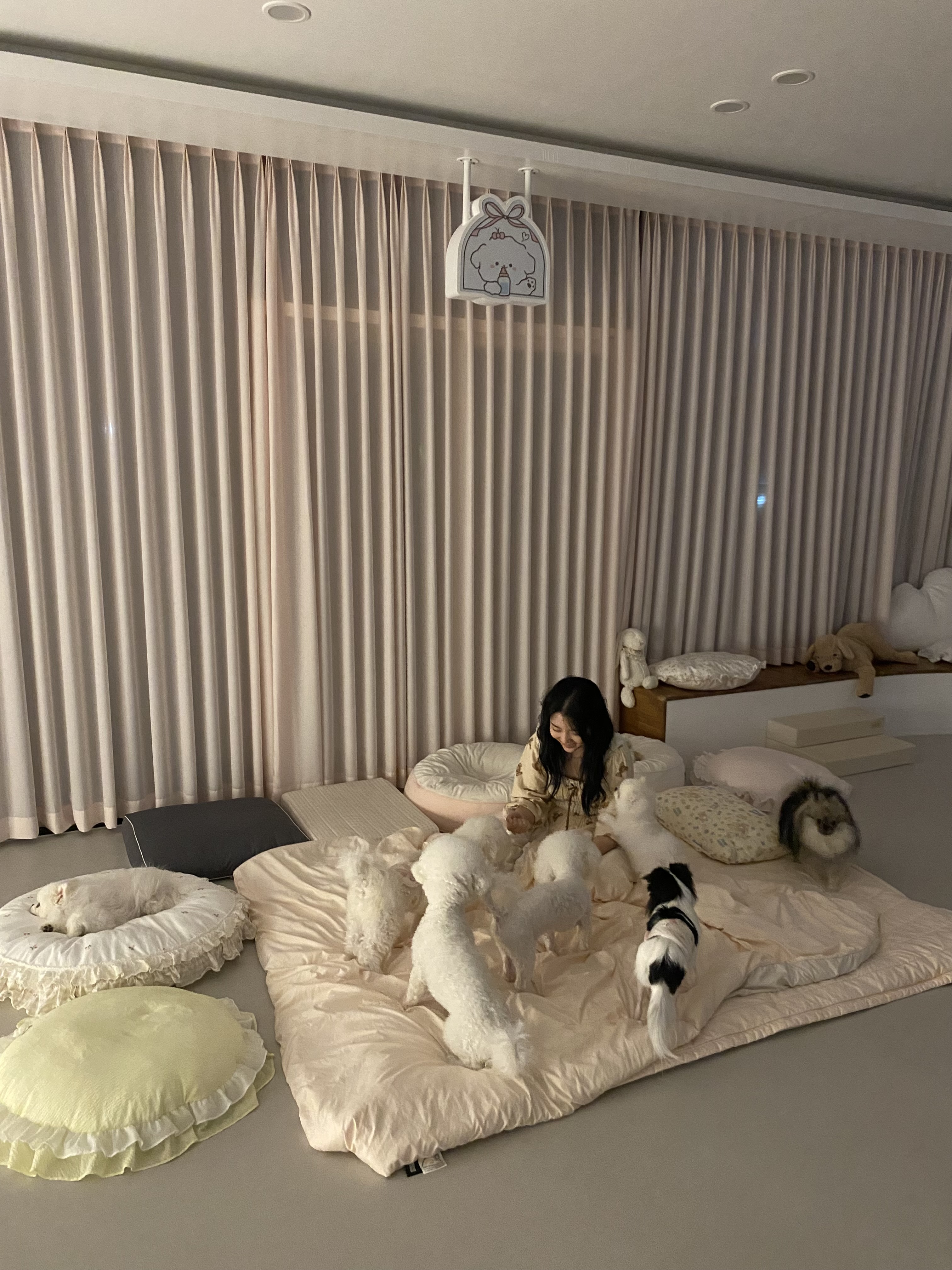 베이비댕 애견호텔 대표 이미지
